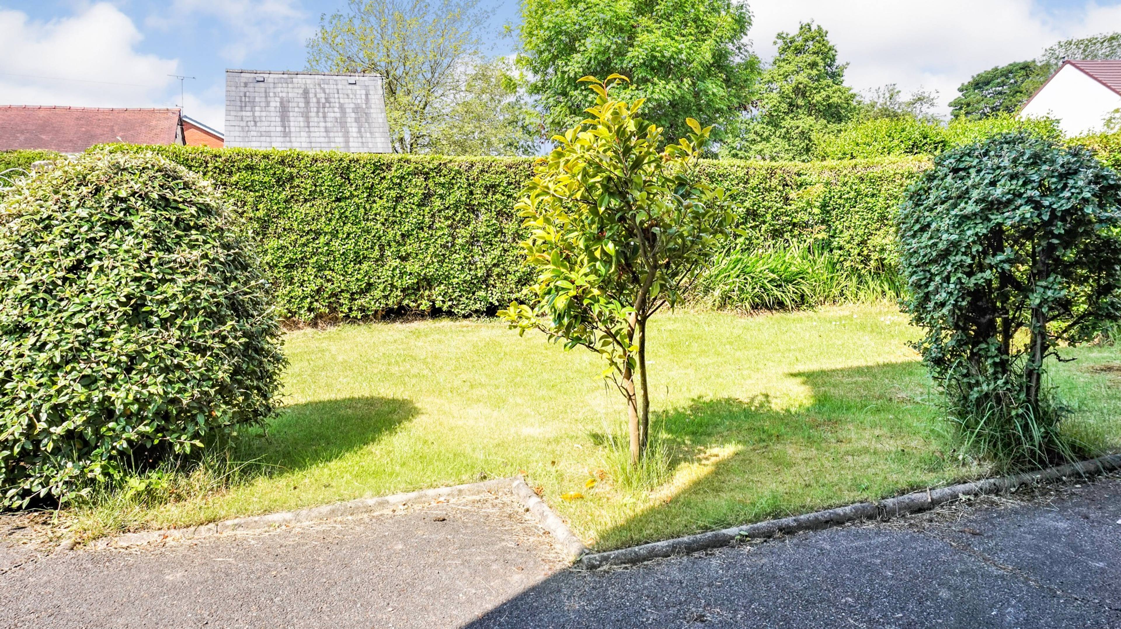 Front Garden