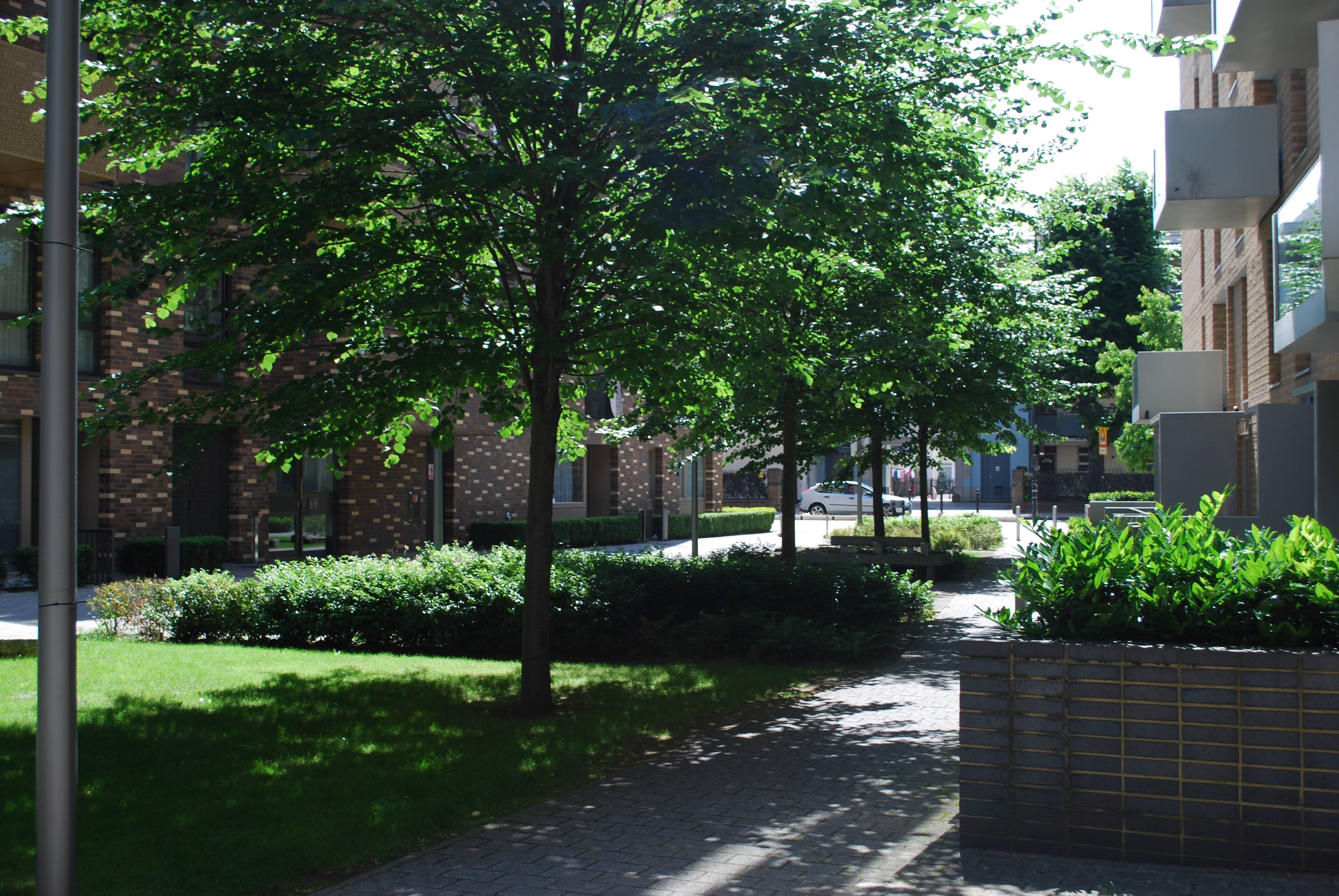 Communal Gardens