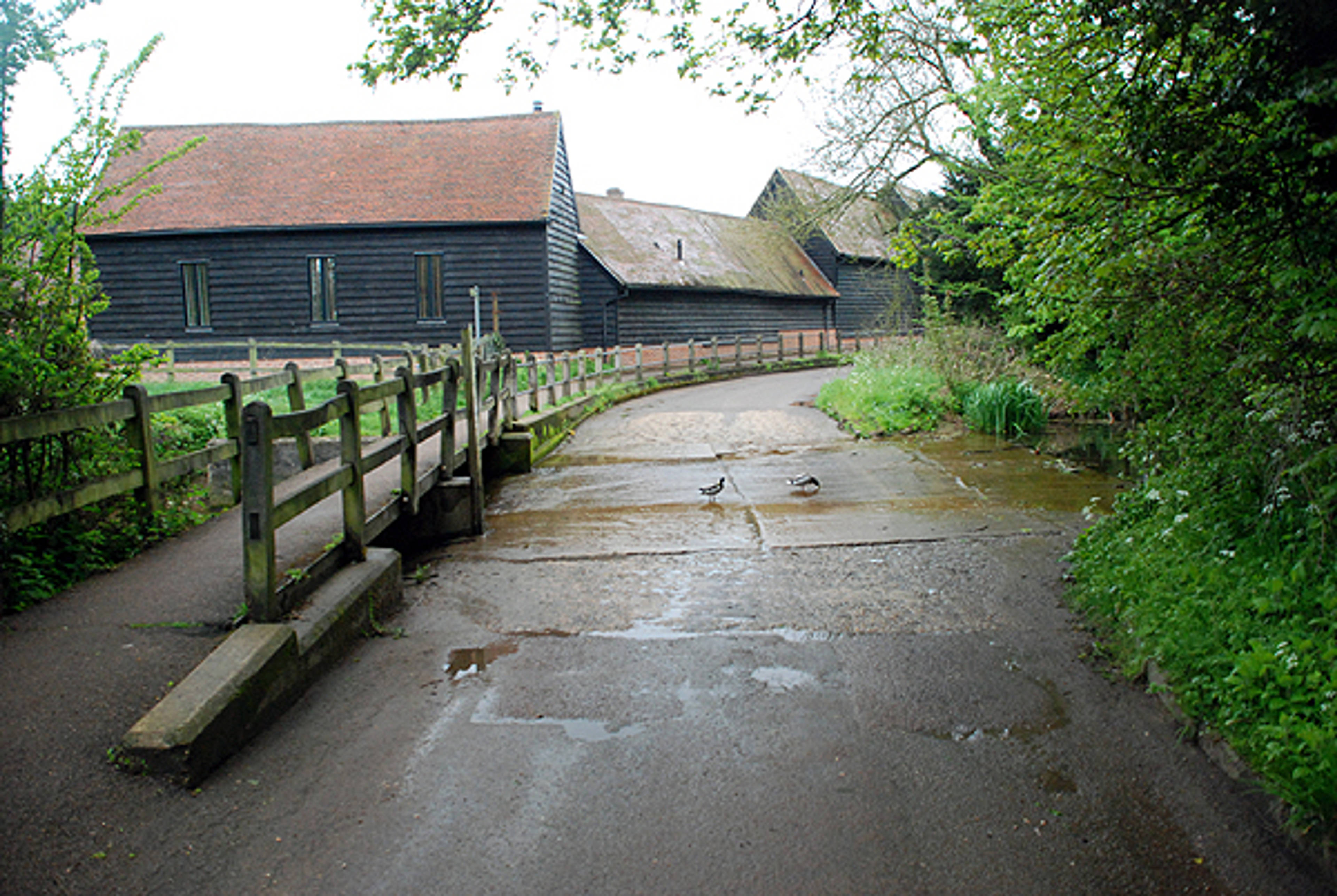The Village