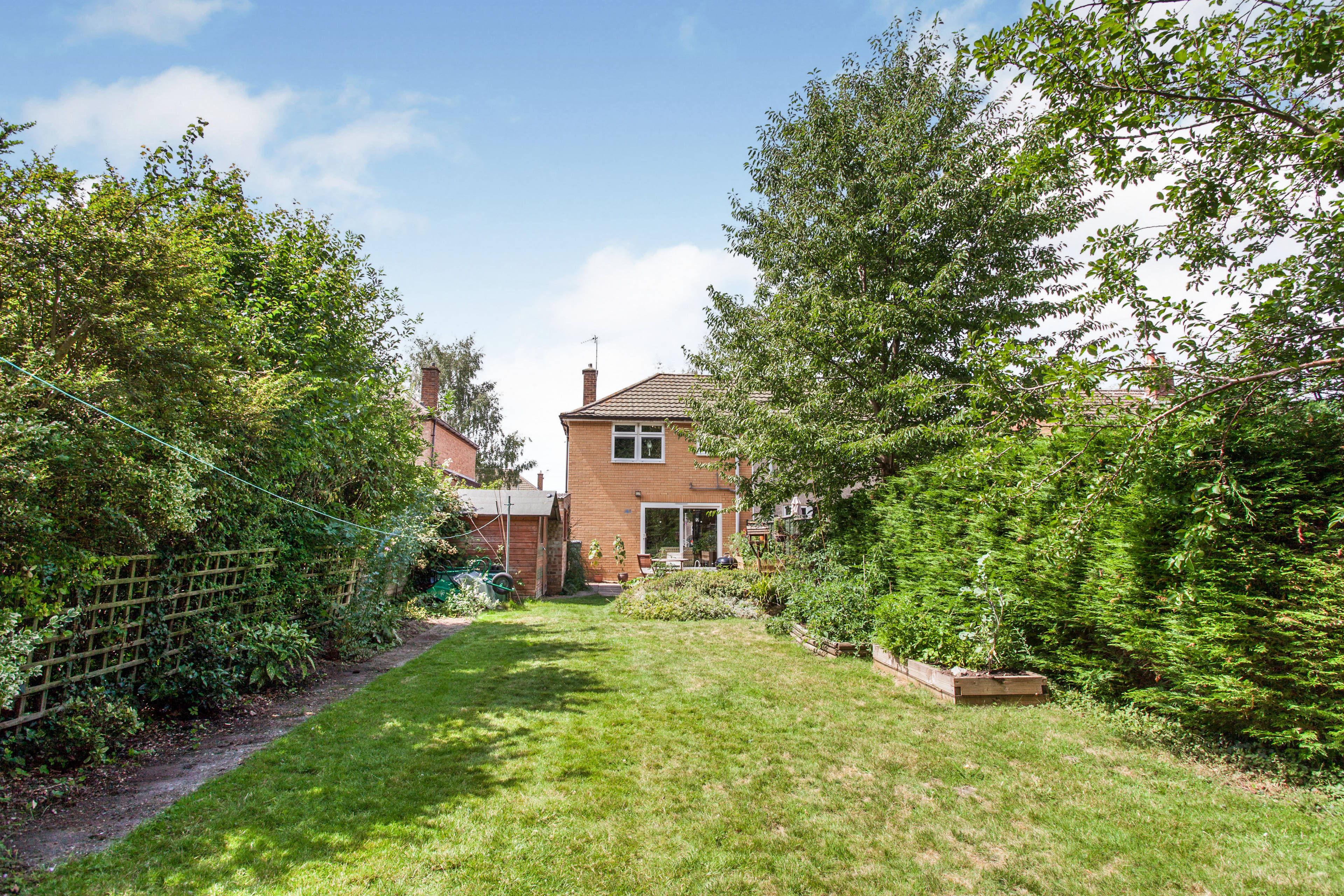 Mature Garden