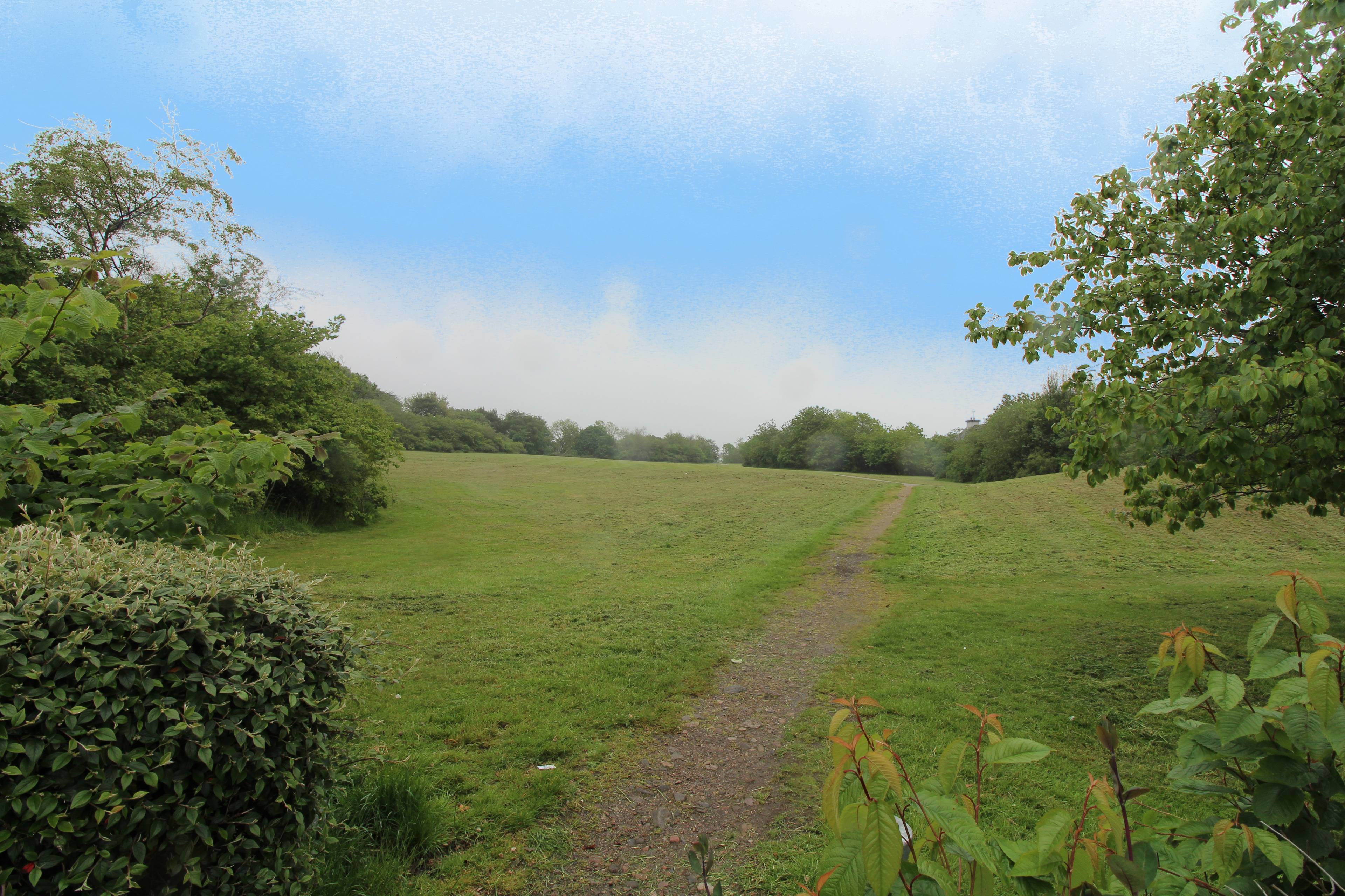 Nearby Park