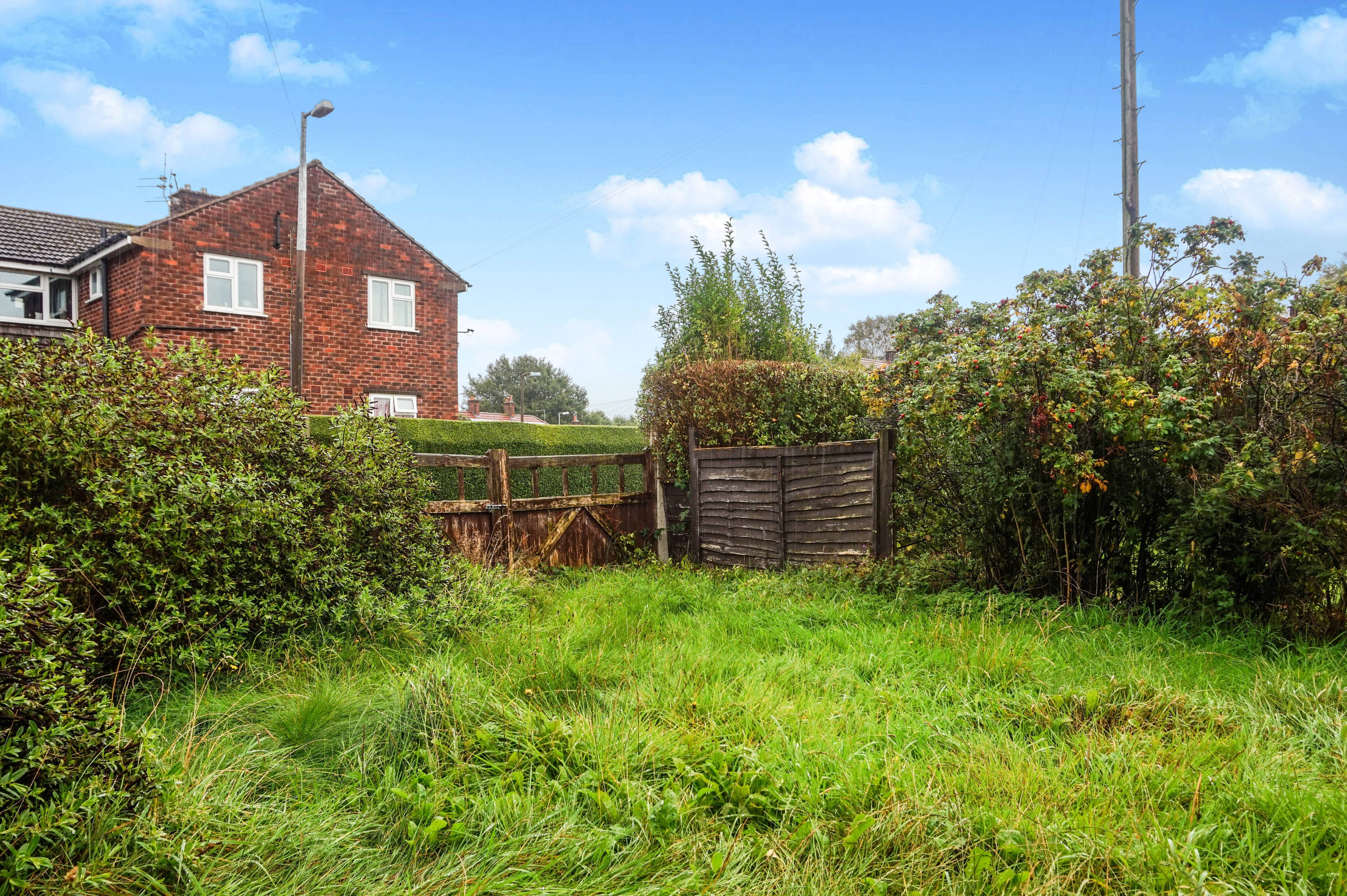 Front Garden