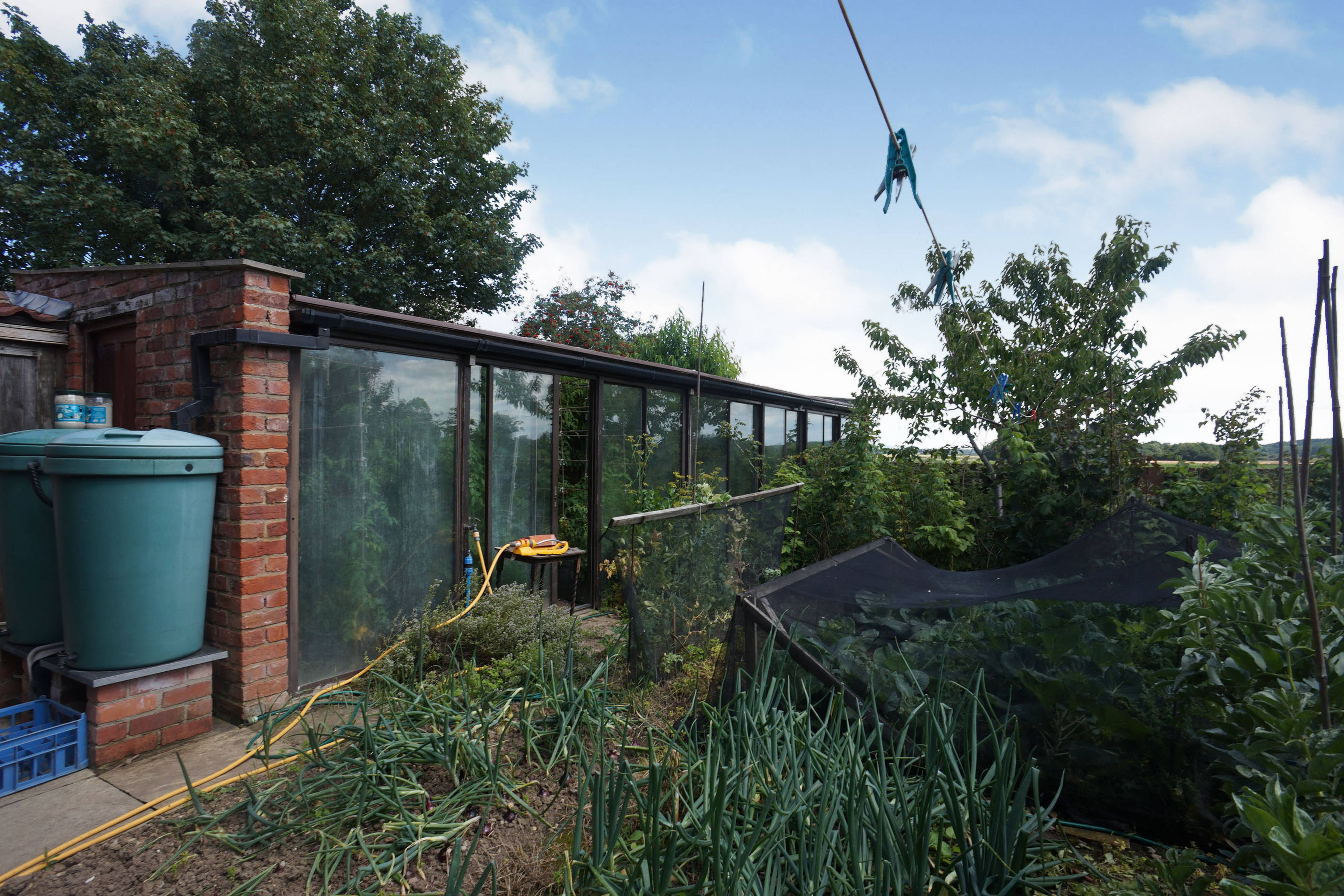 Greenhouse