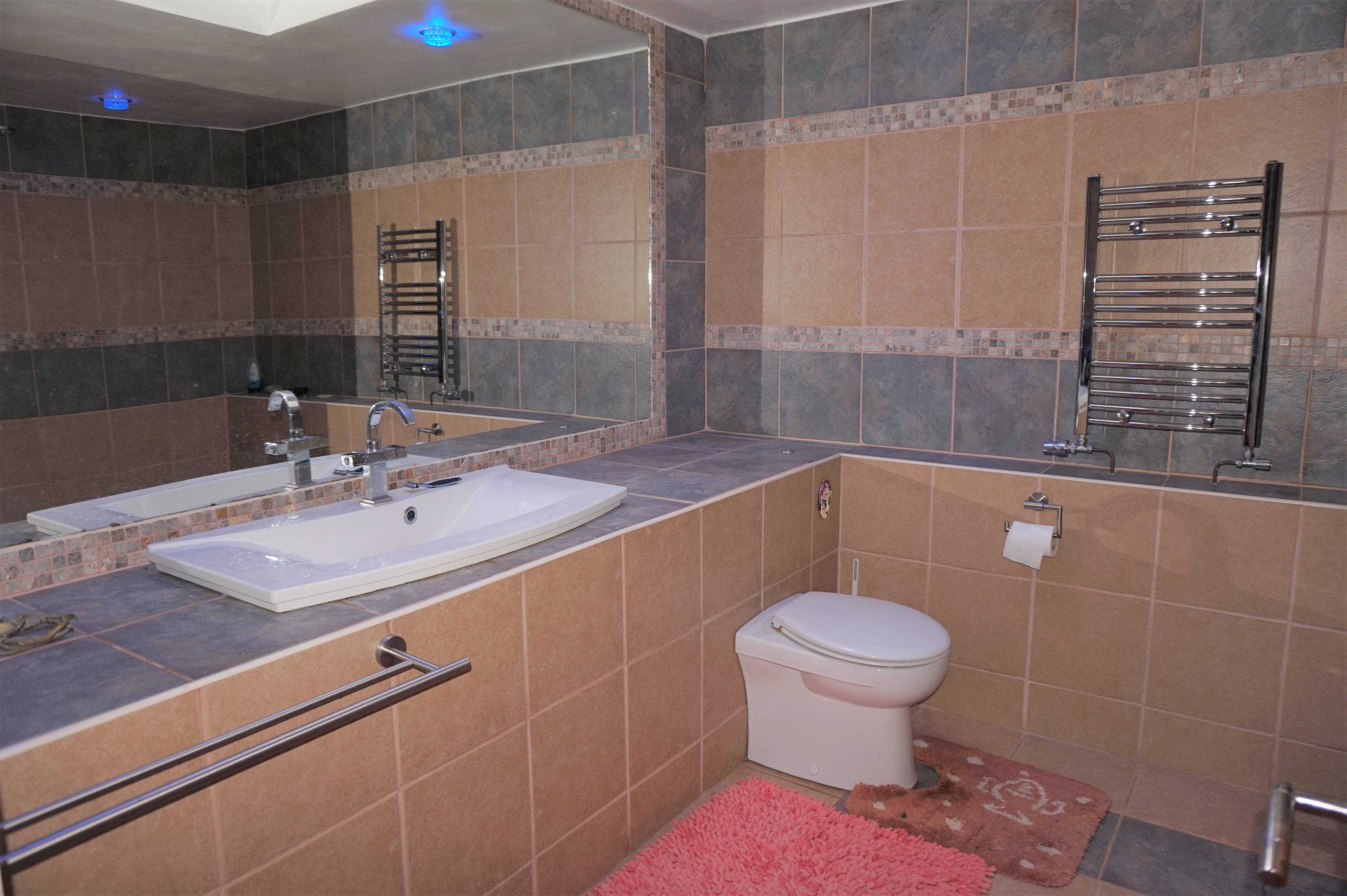 Annexe Shower Room