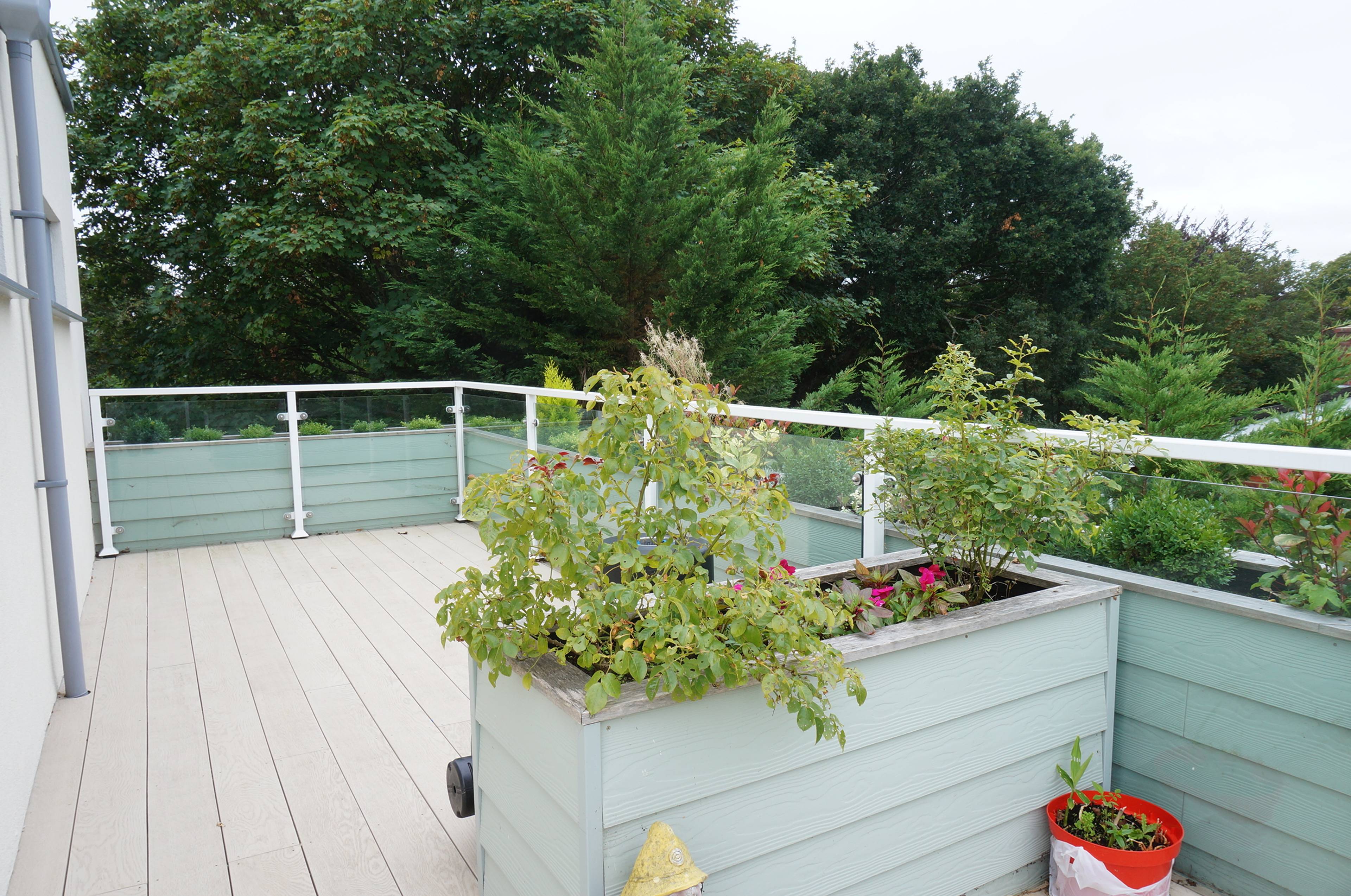 Sun Terrace