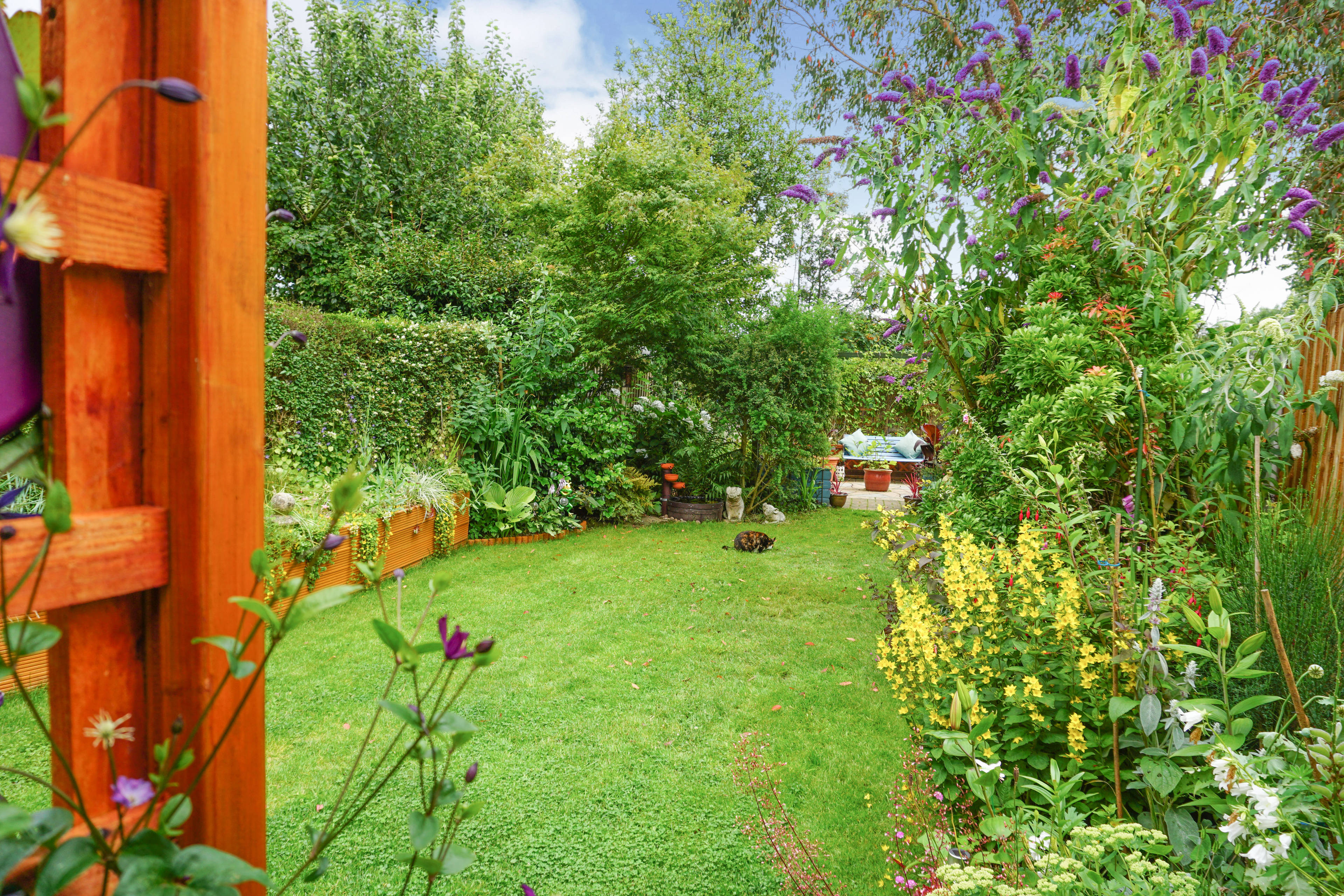 Garden