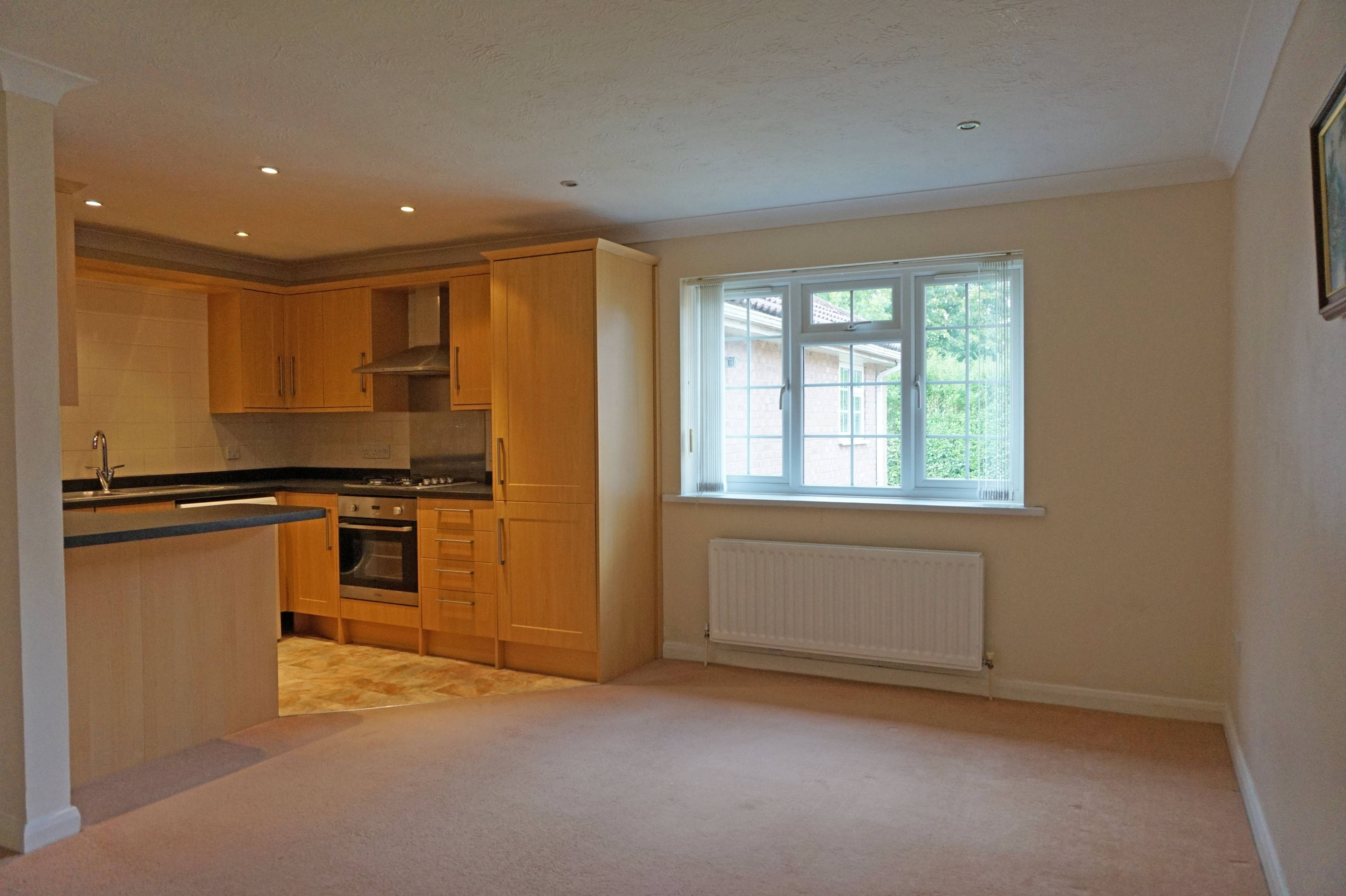 Lounge / Kitchen