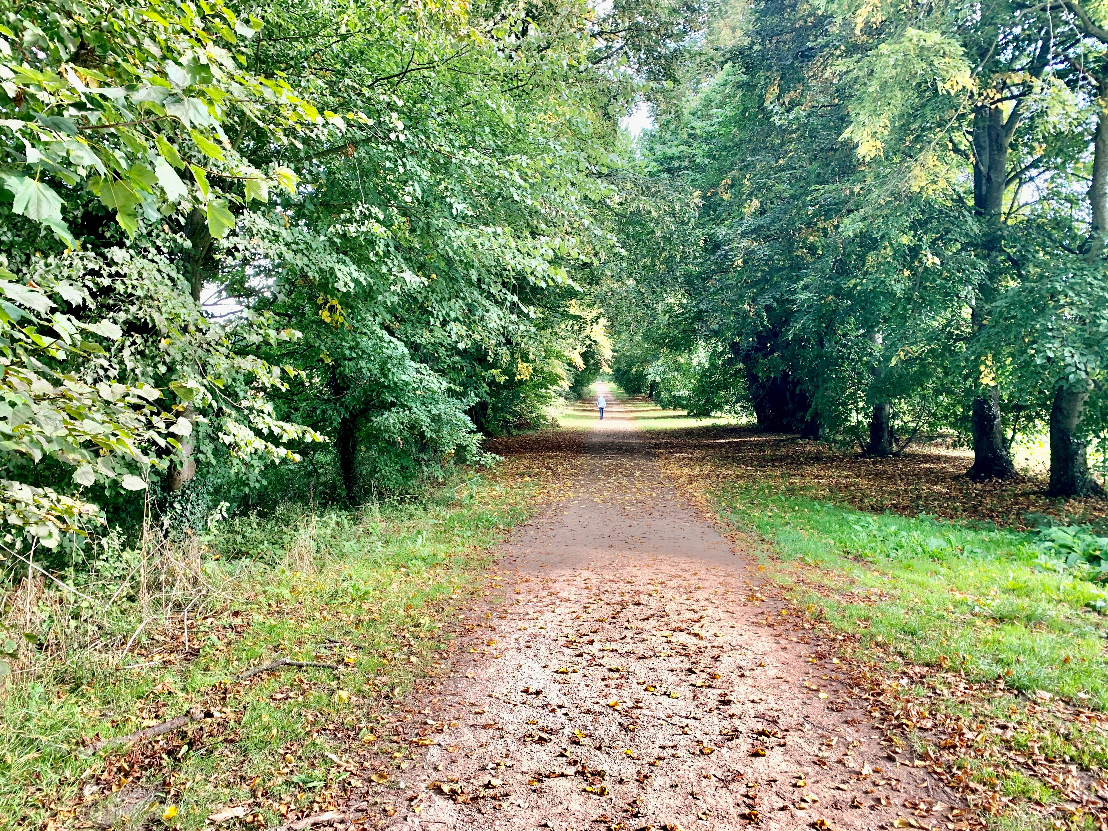 Local Area