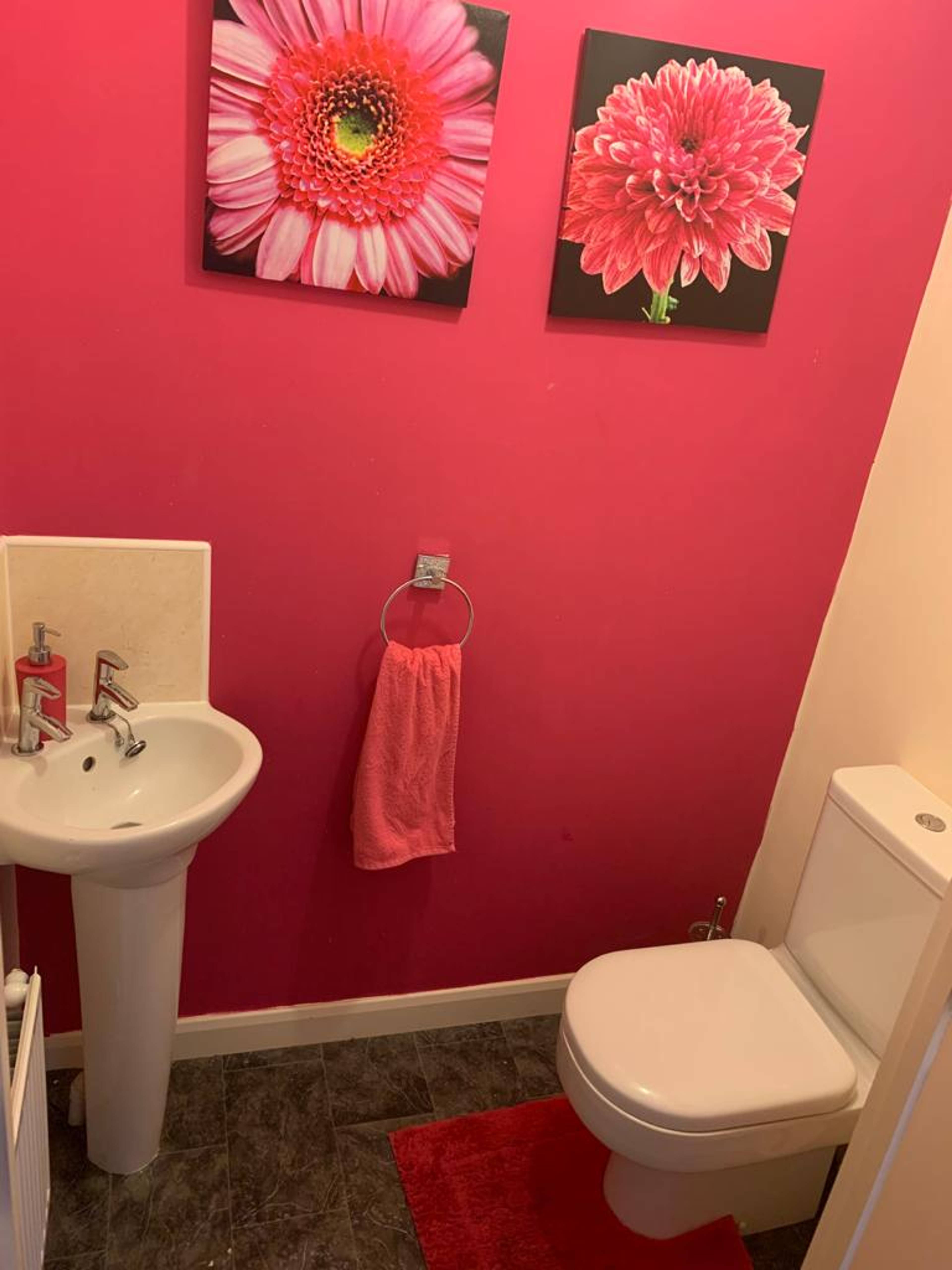 Downstairs Bathroom