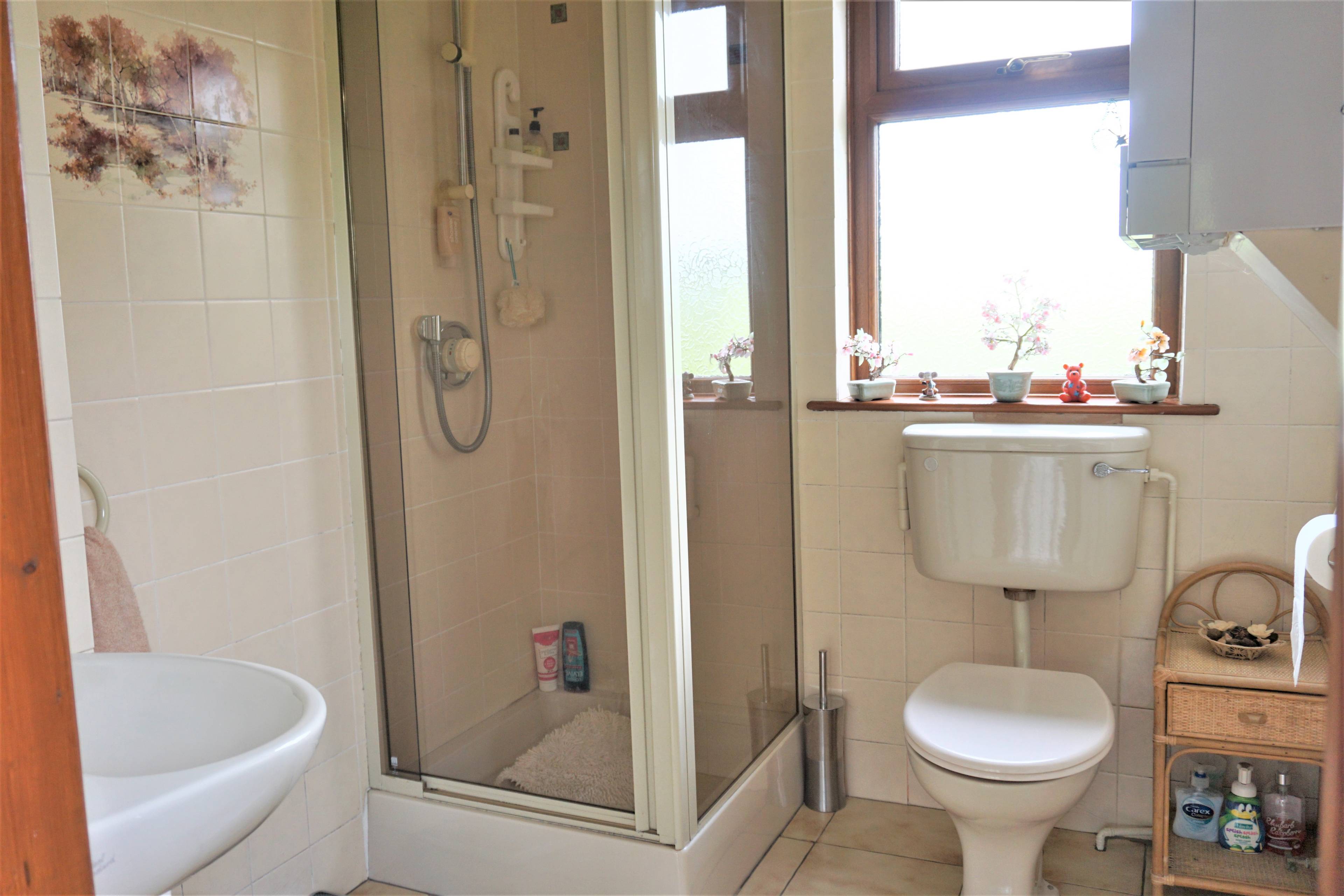 Downstairs Shower