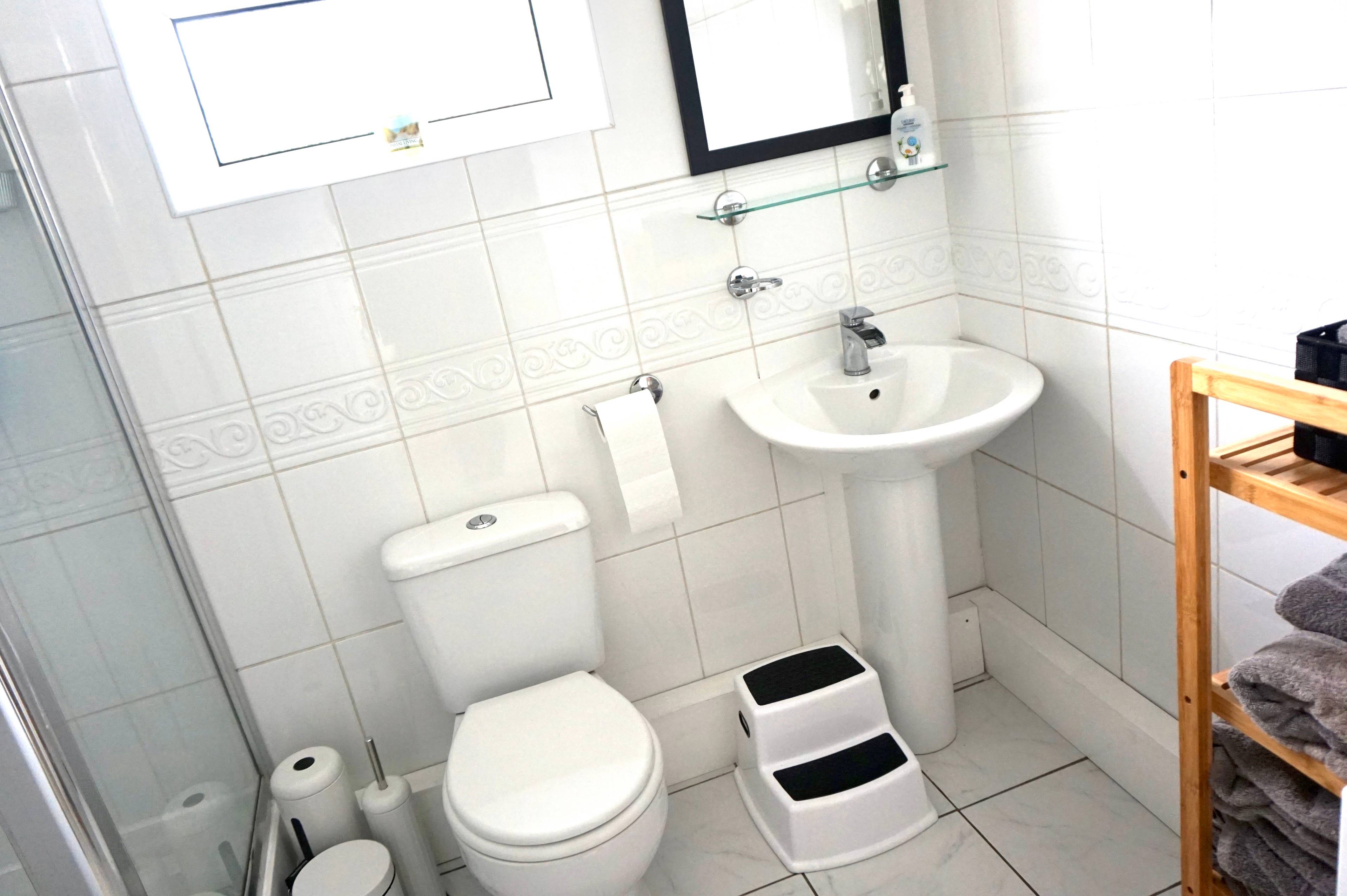 Downstairs Shower