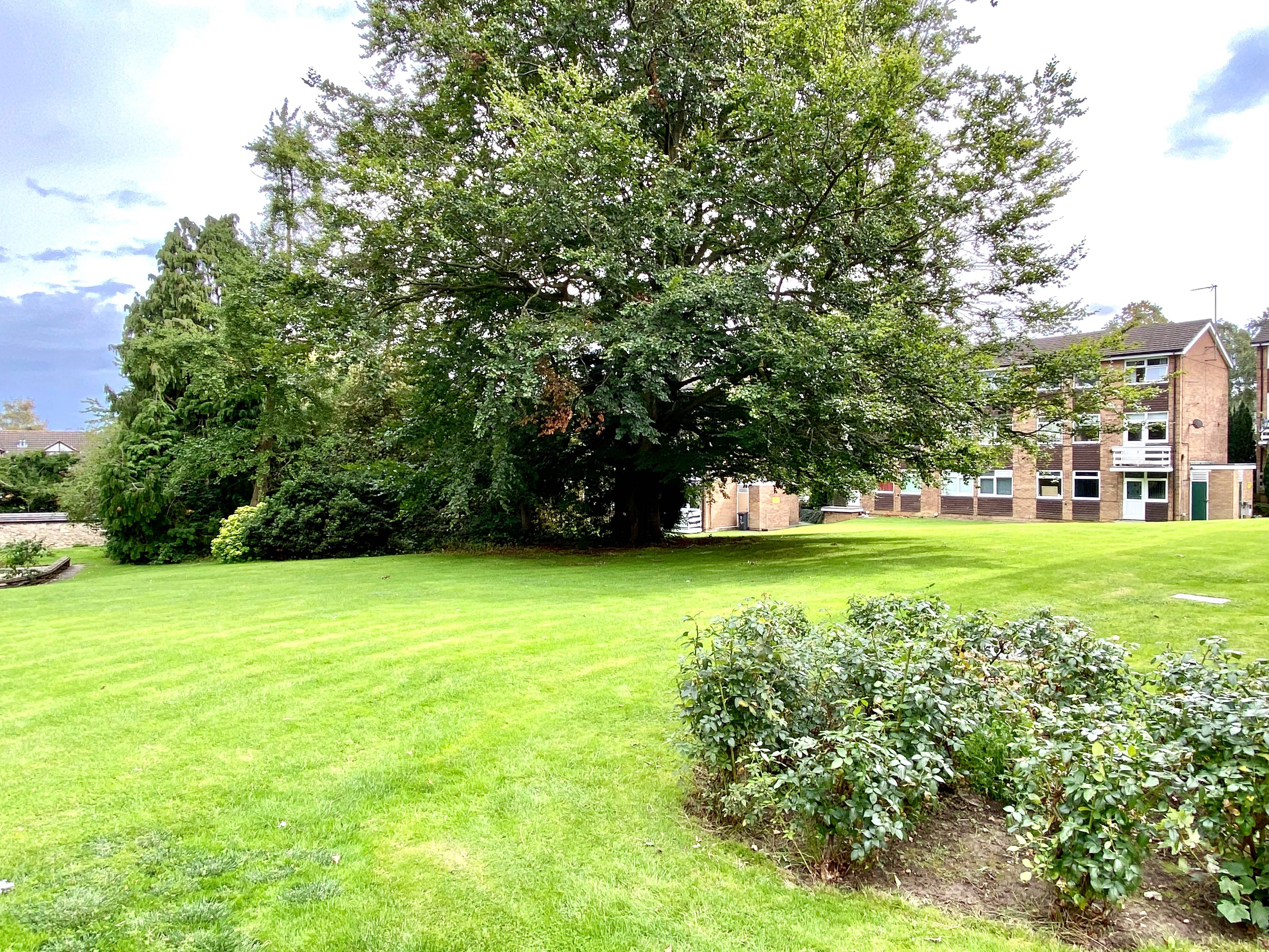 Grounds