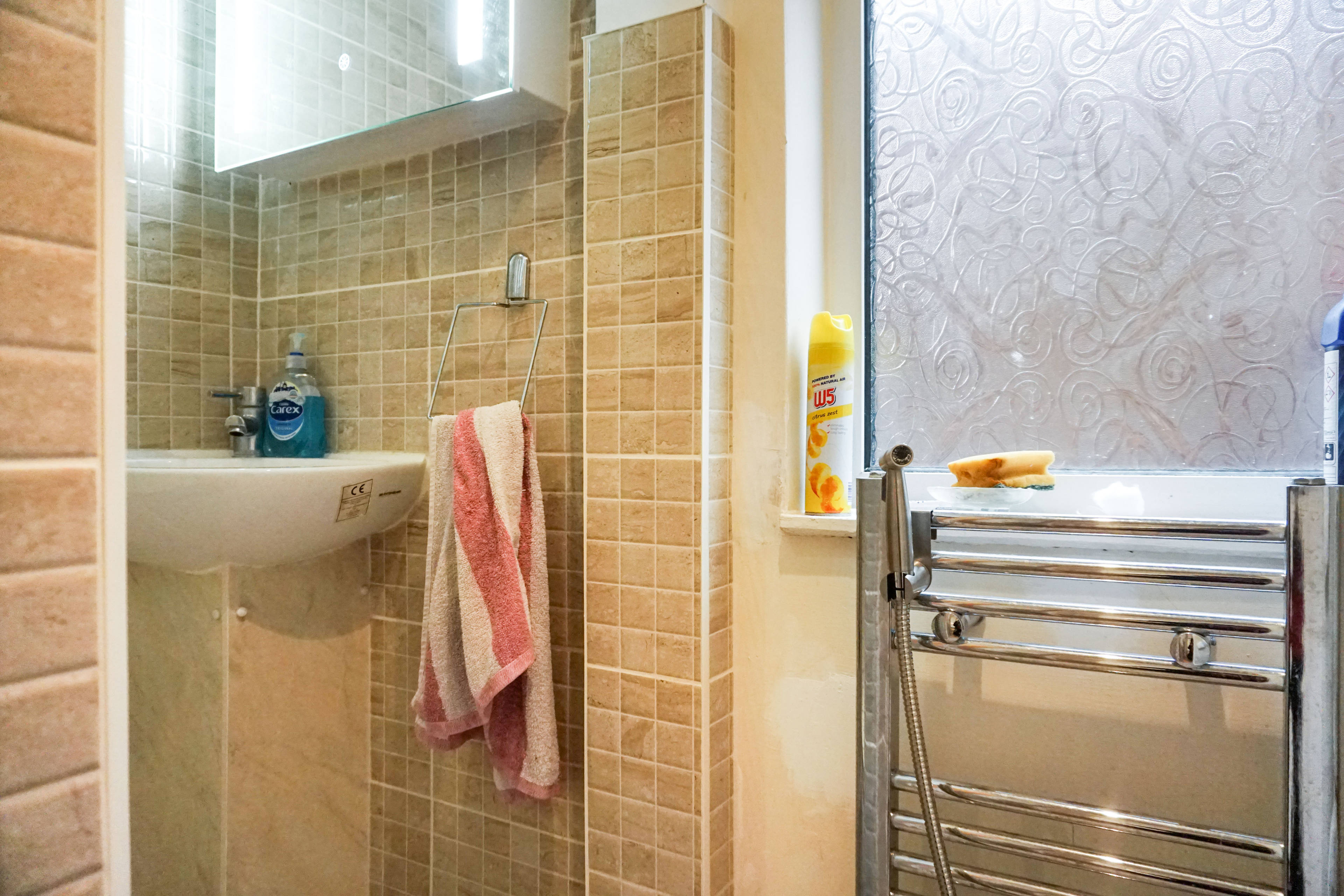 Downstairs Shower