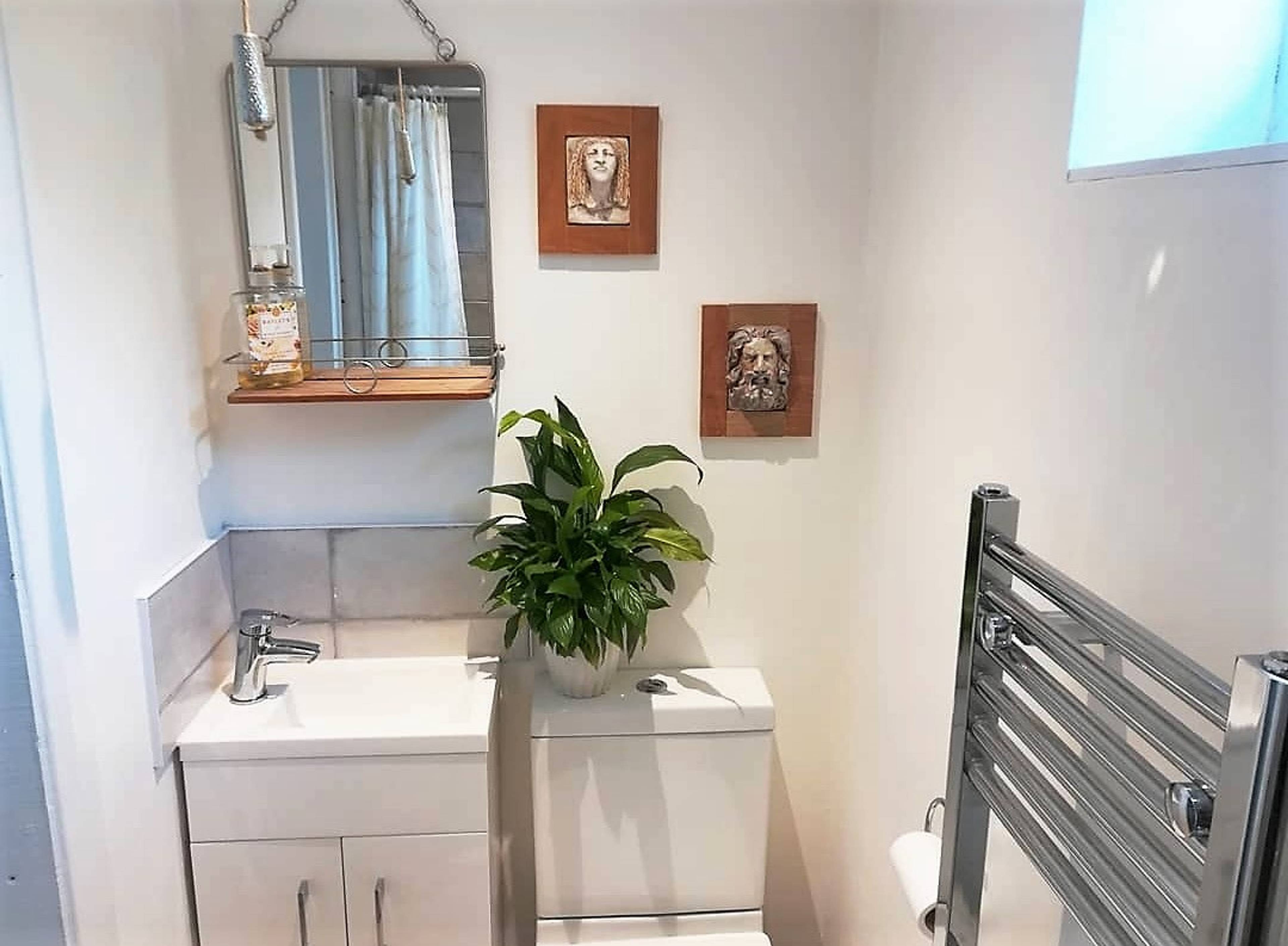 Downstairs Shower