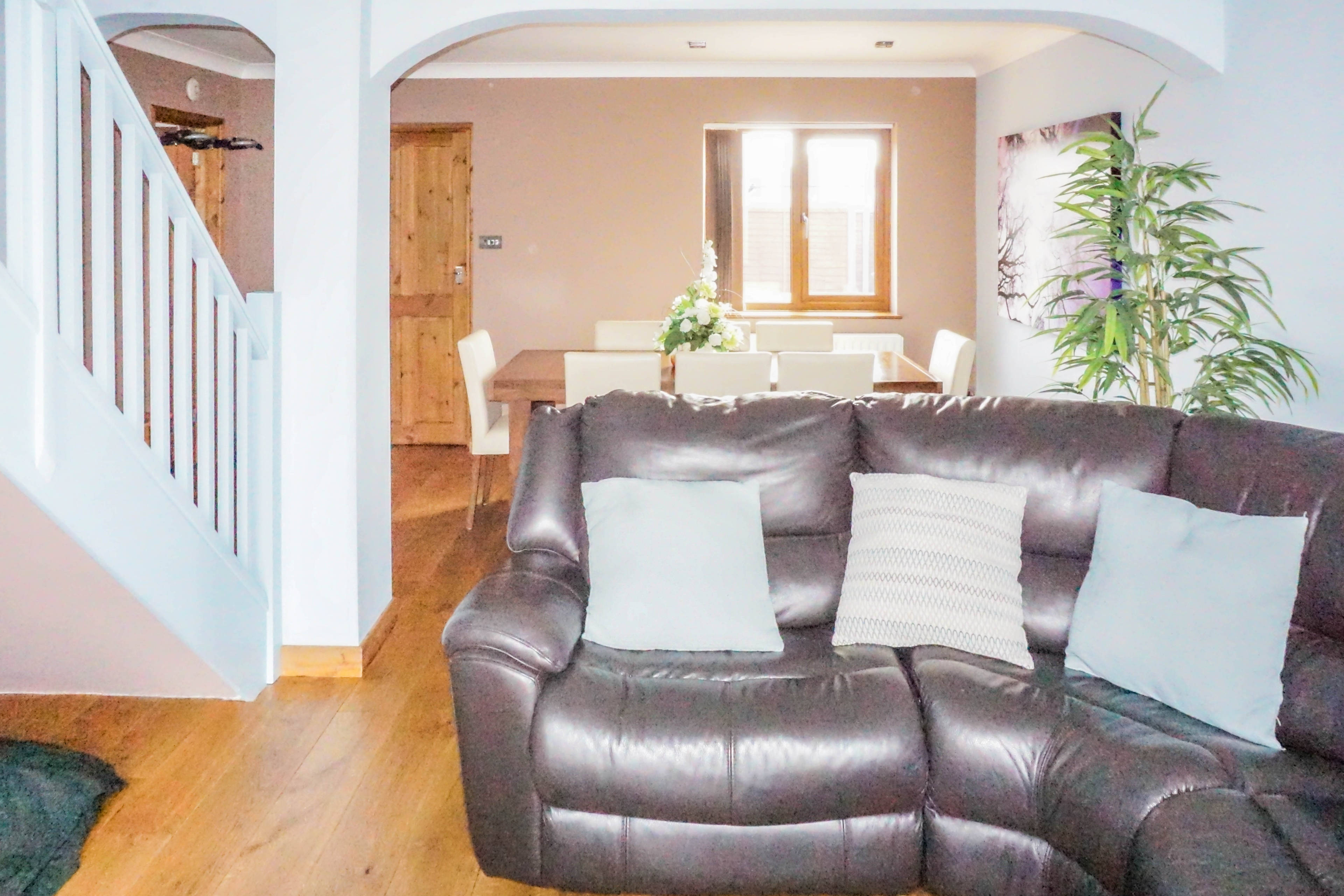 Lounge/Dining Room