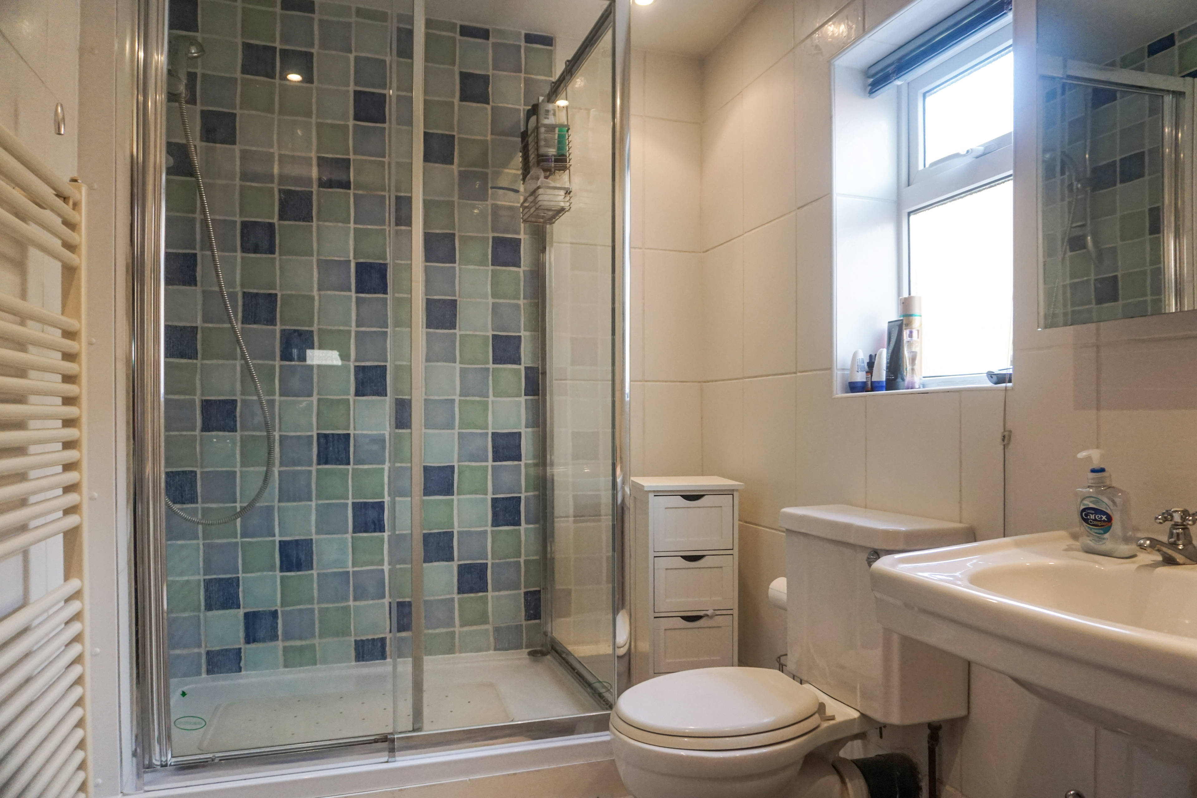 Downstairs Shower