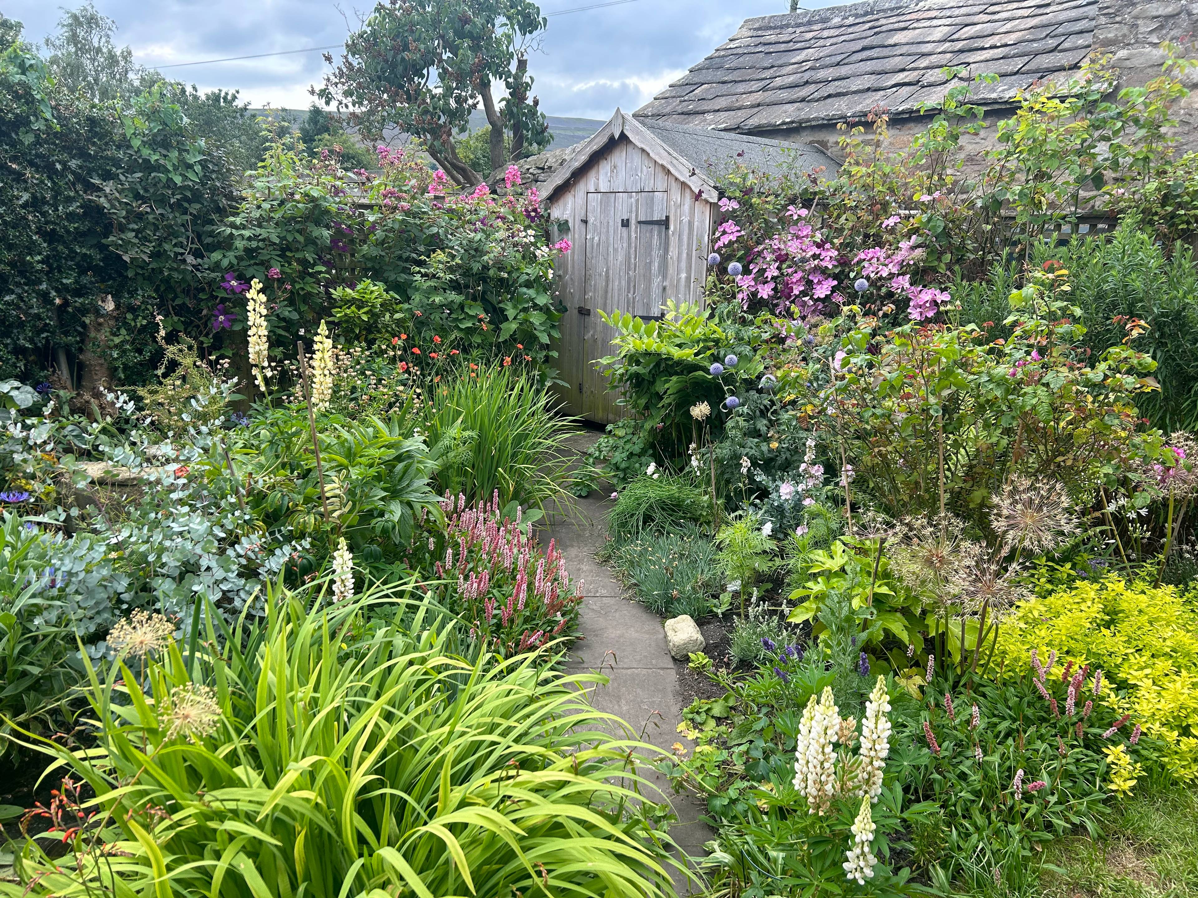 Cottage Garden