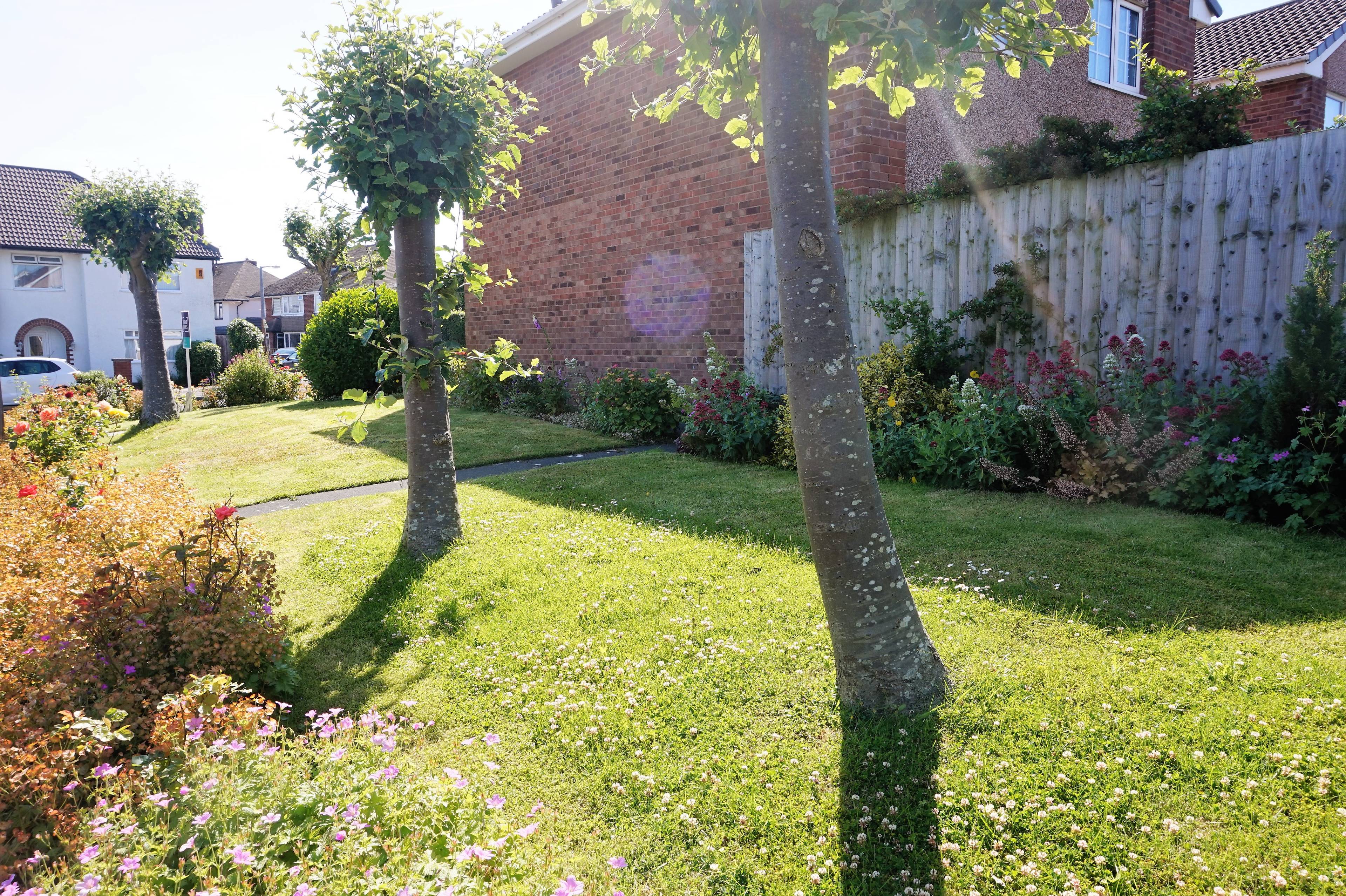 Side Garden