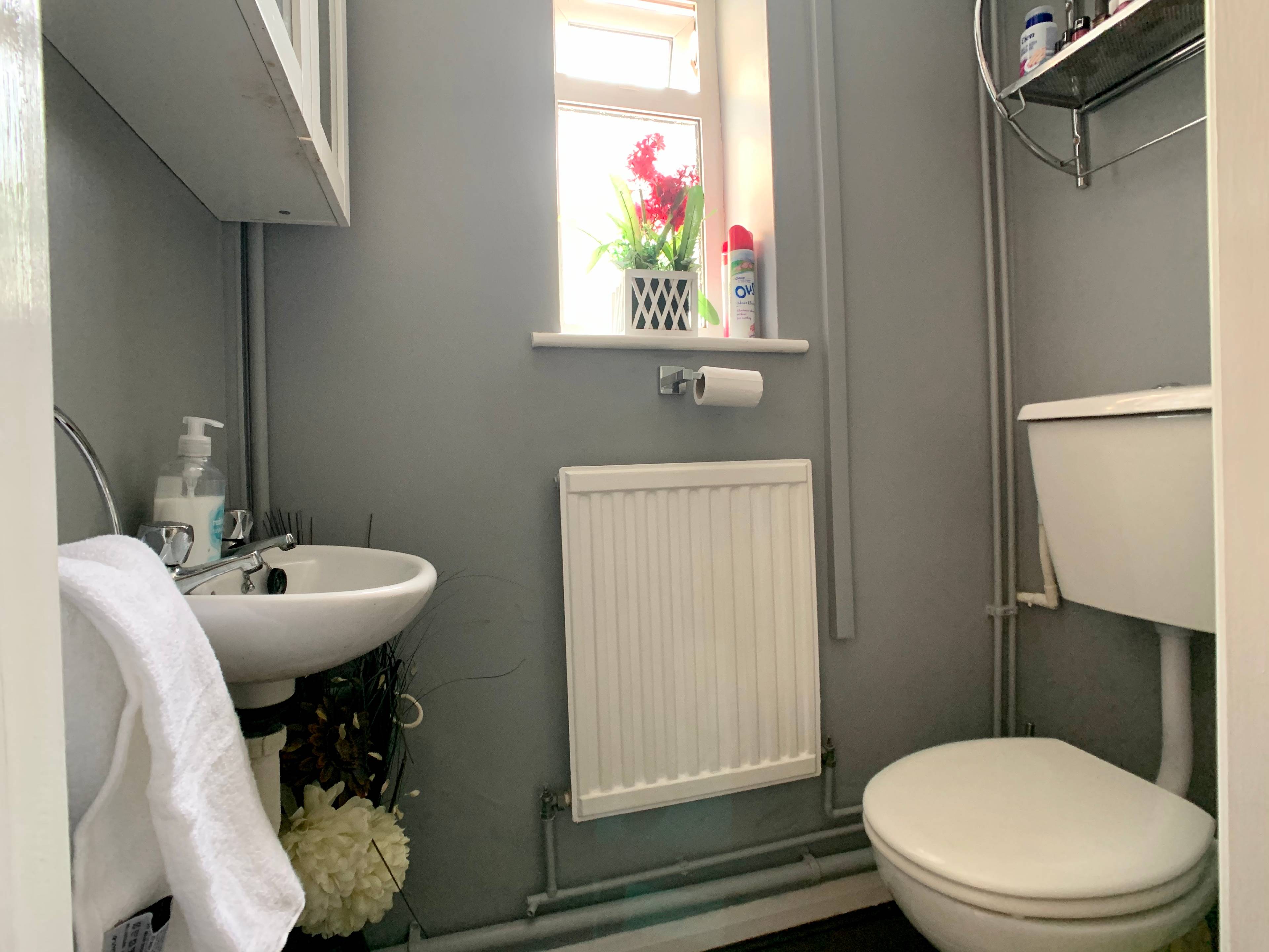 Downstairs Cloakroom