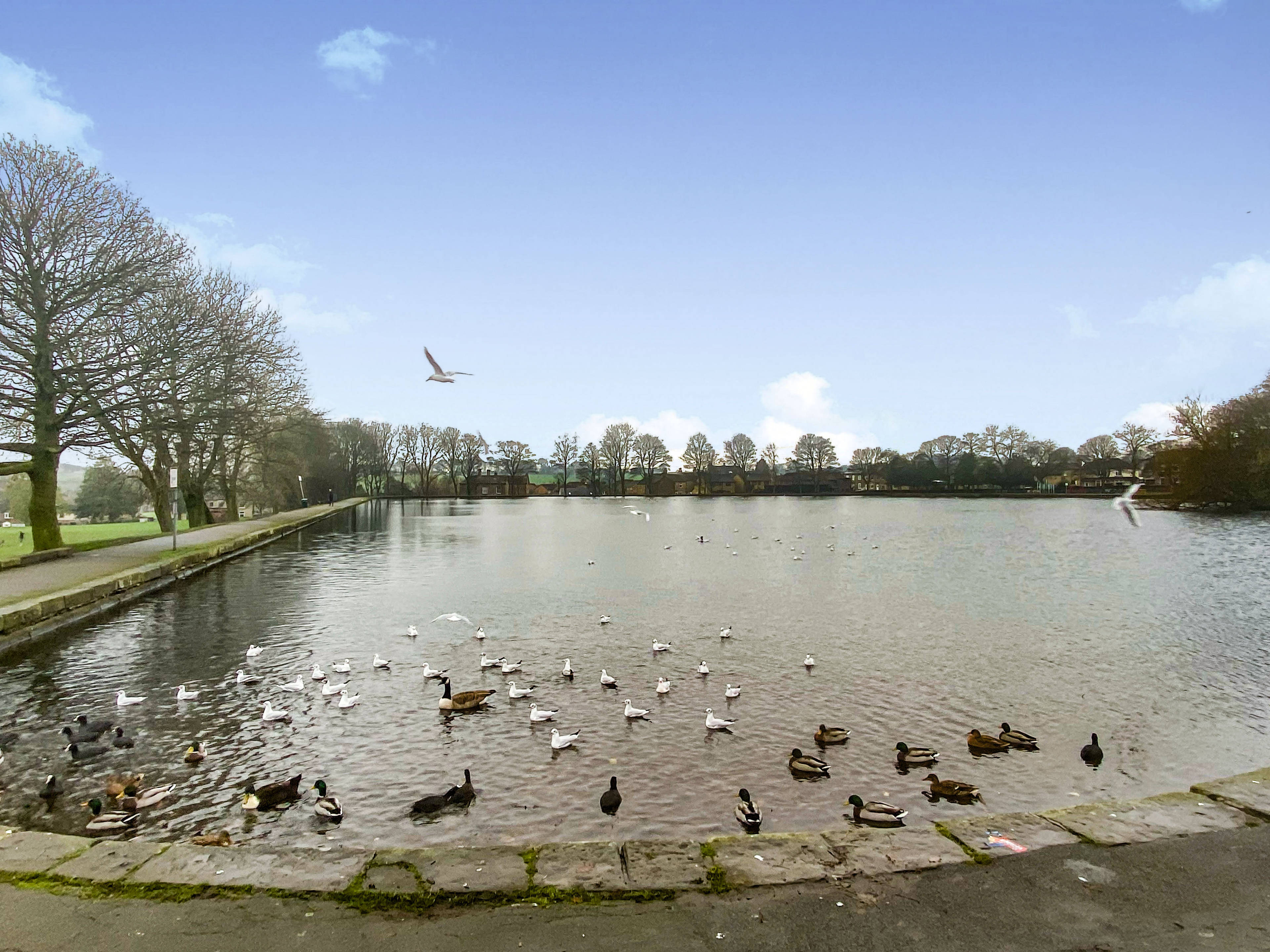 Nearby Park