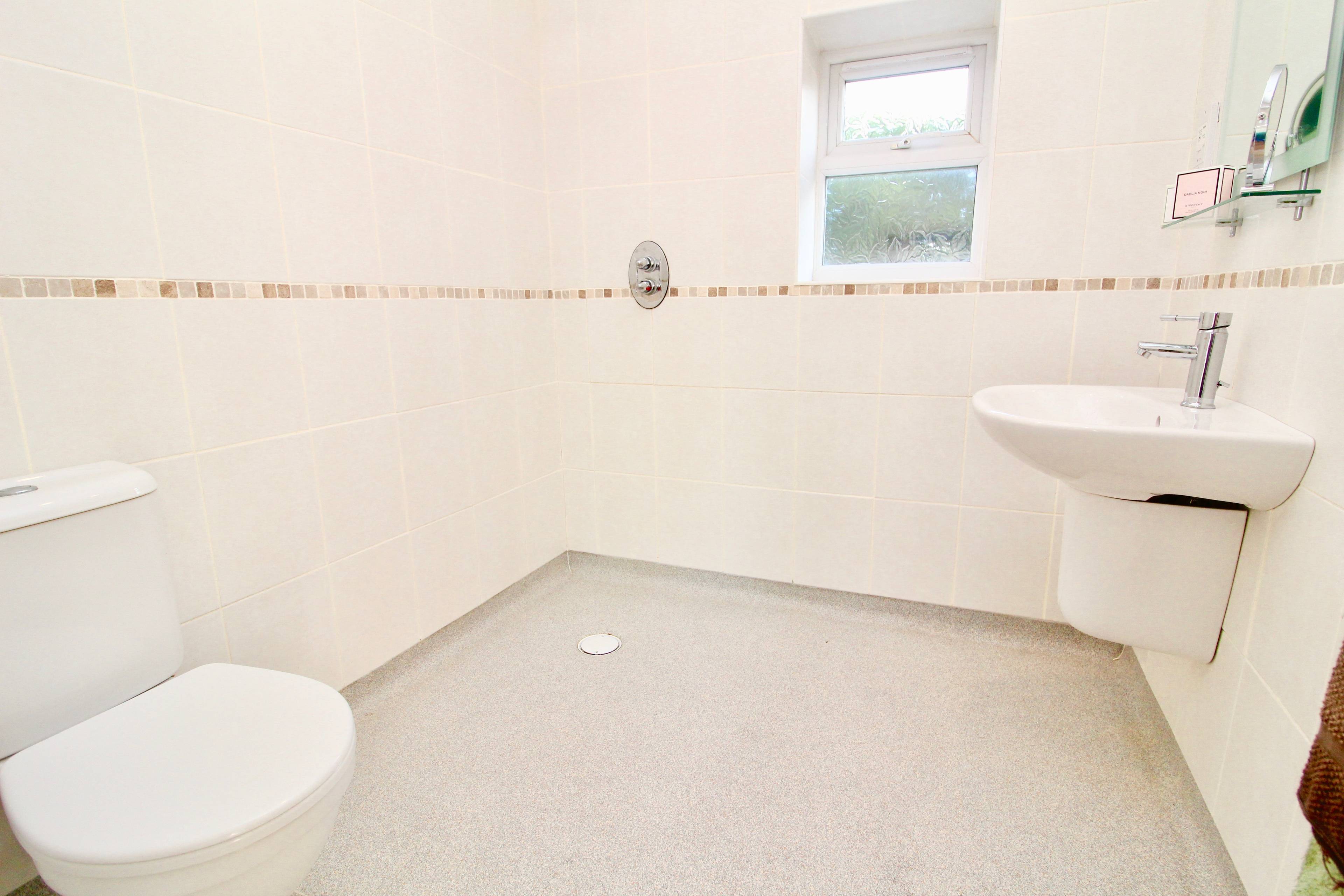 Annexe Shower Room
