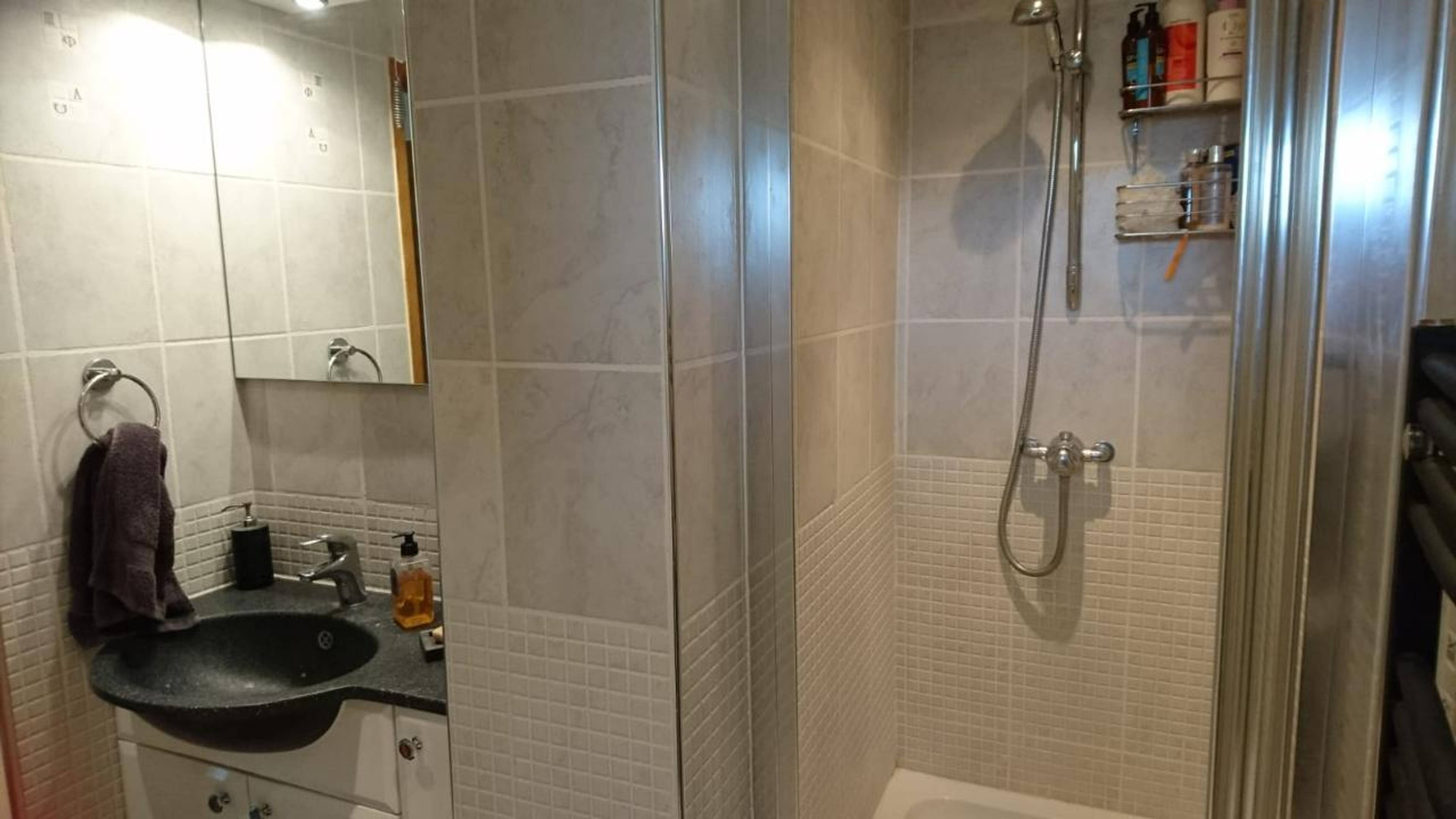 Downstairs Shower