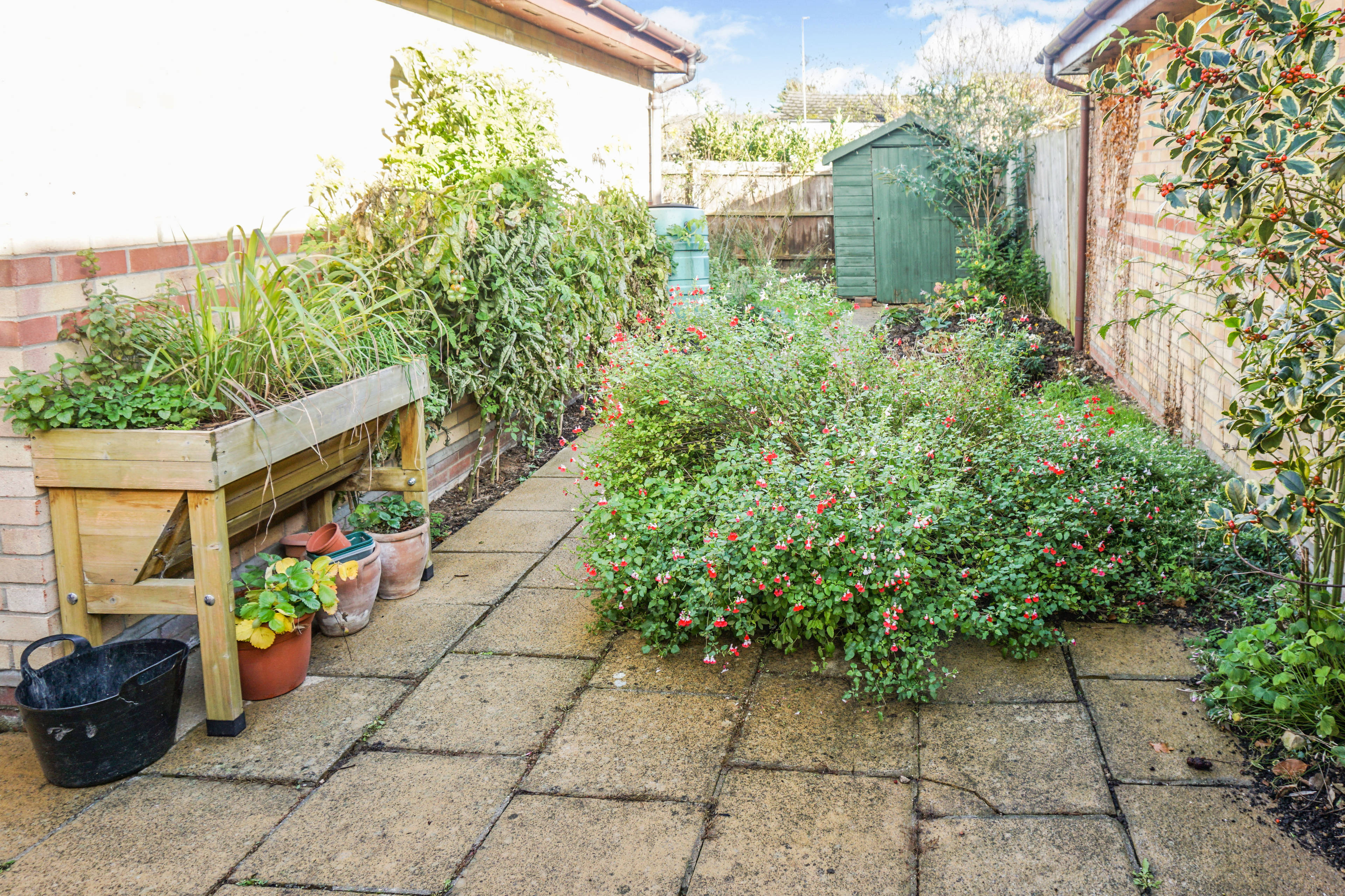 Side Garden