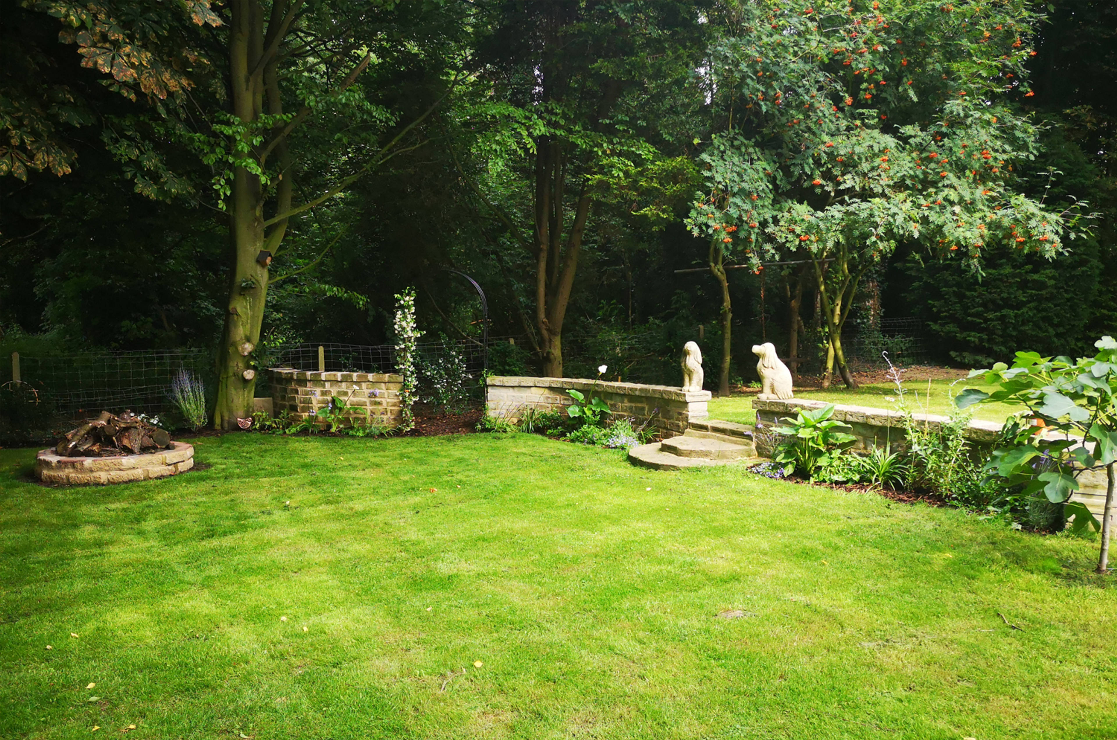 Mature Garden