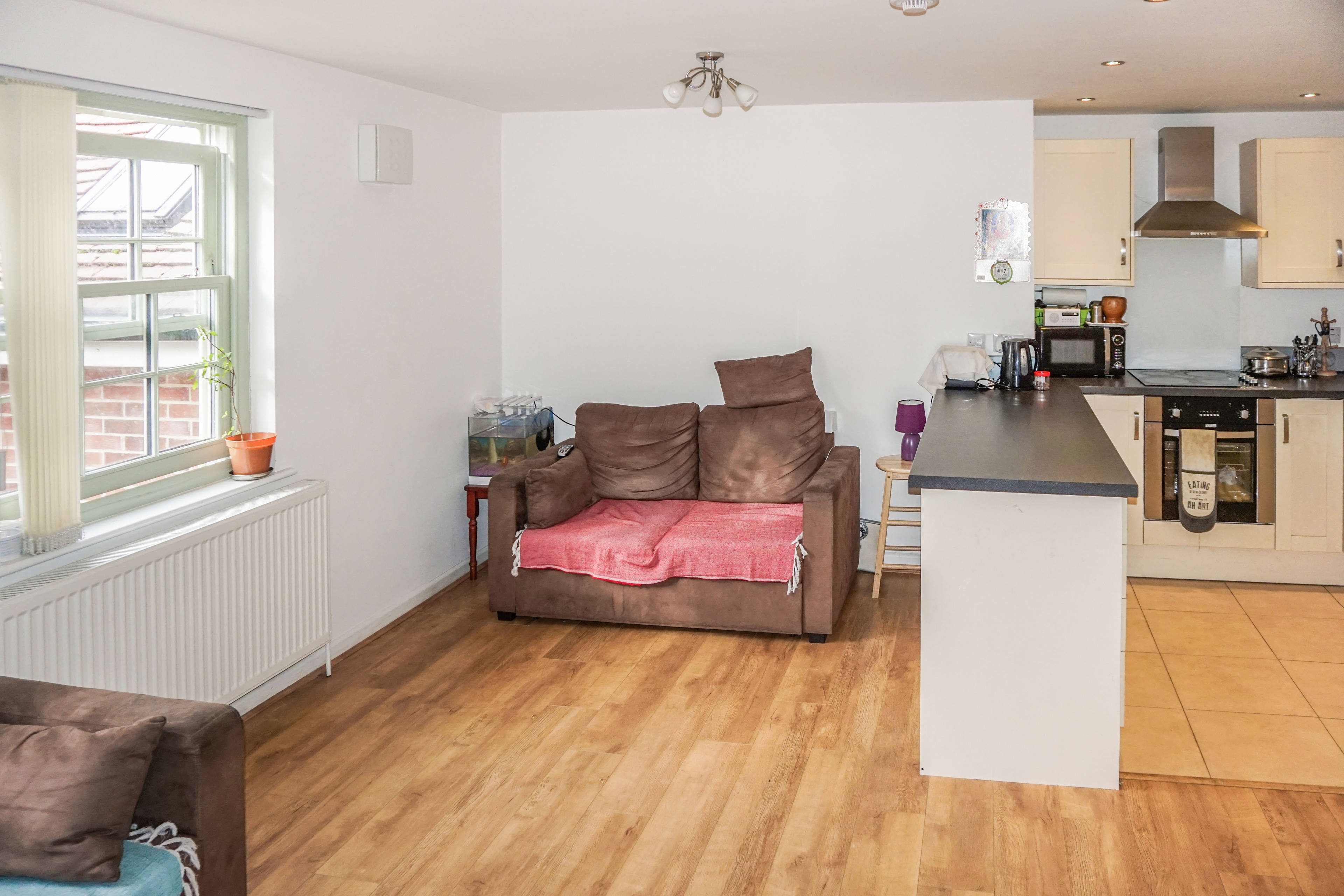 Lounge / Kitchen