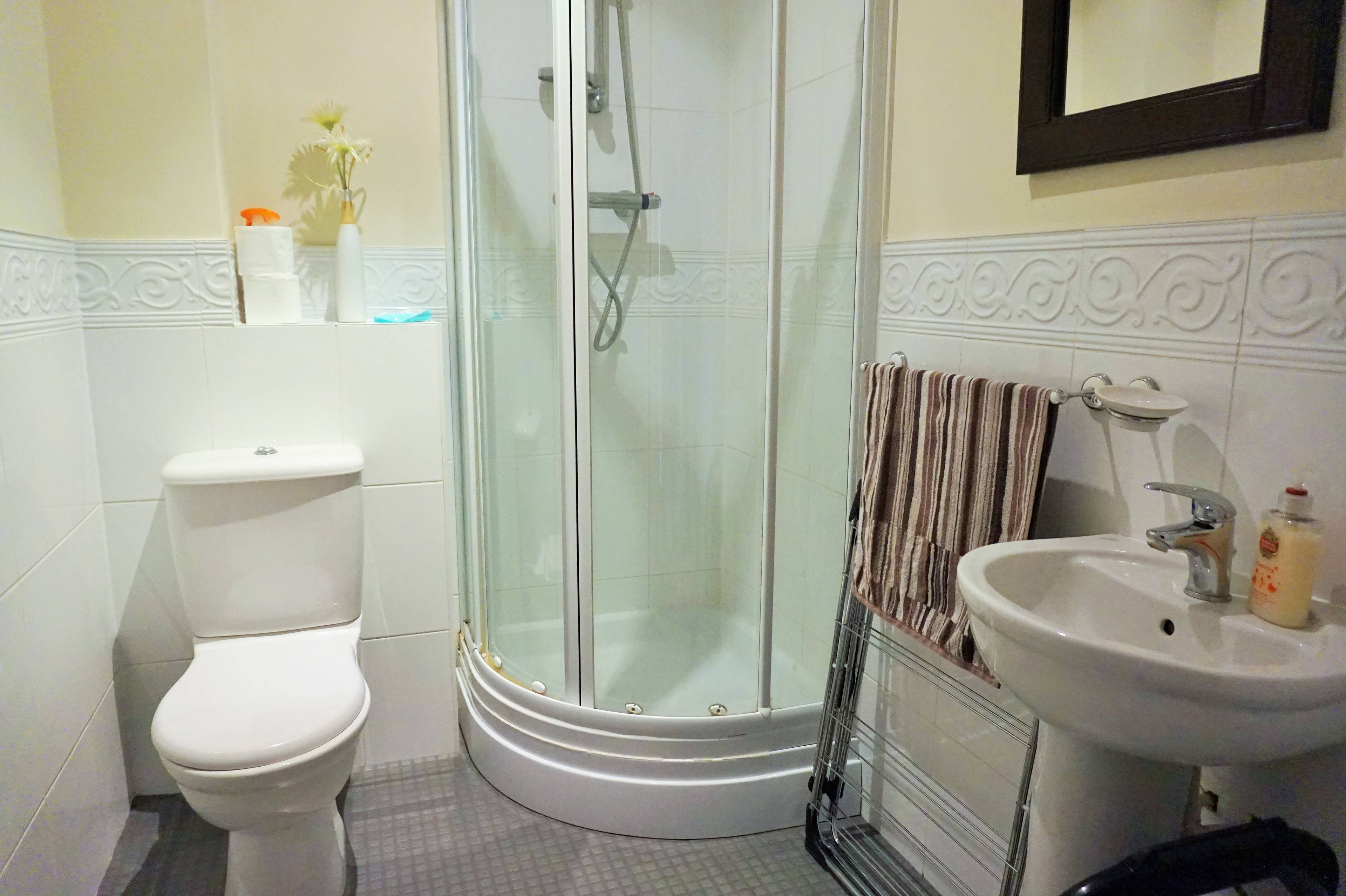 Downstairs Shower