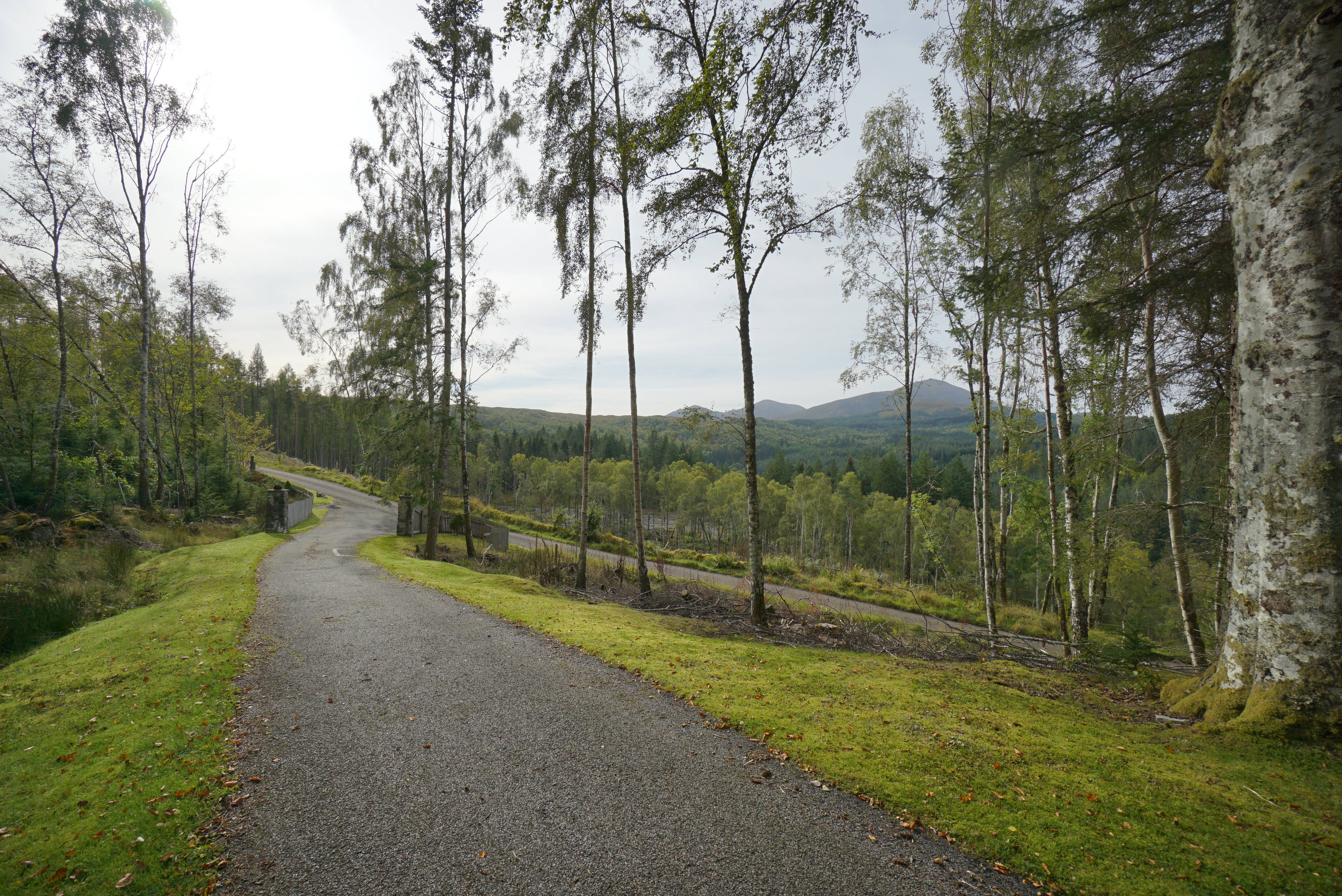 Driveway