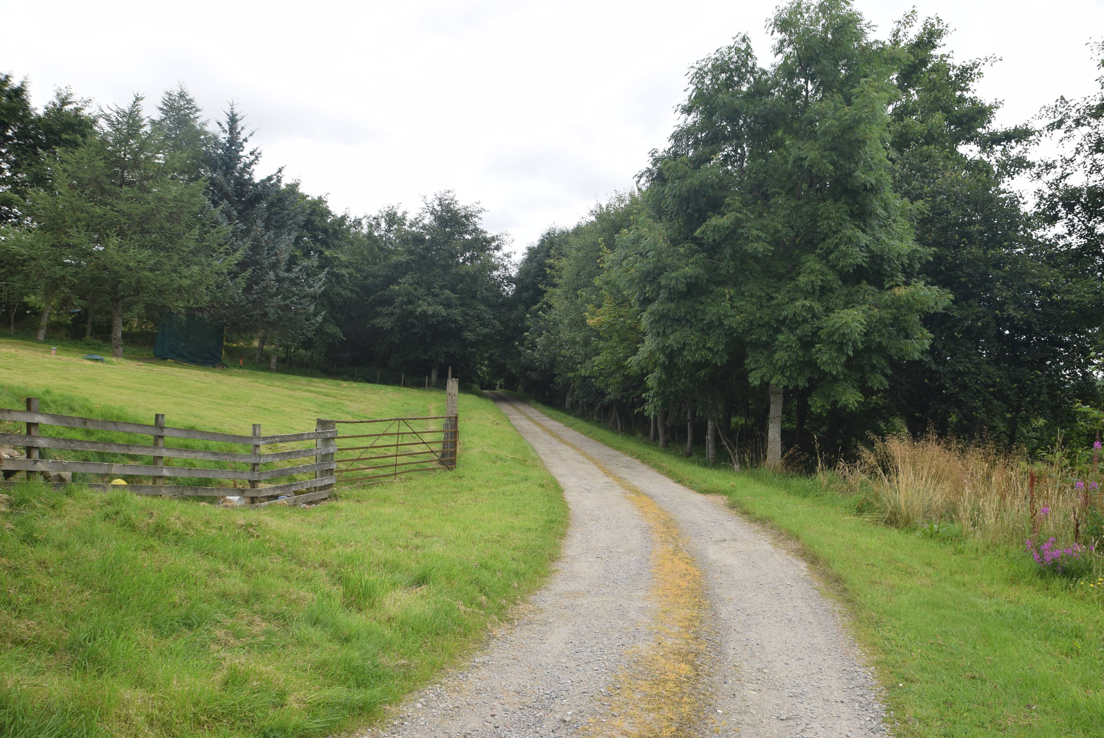 Driveway