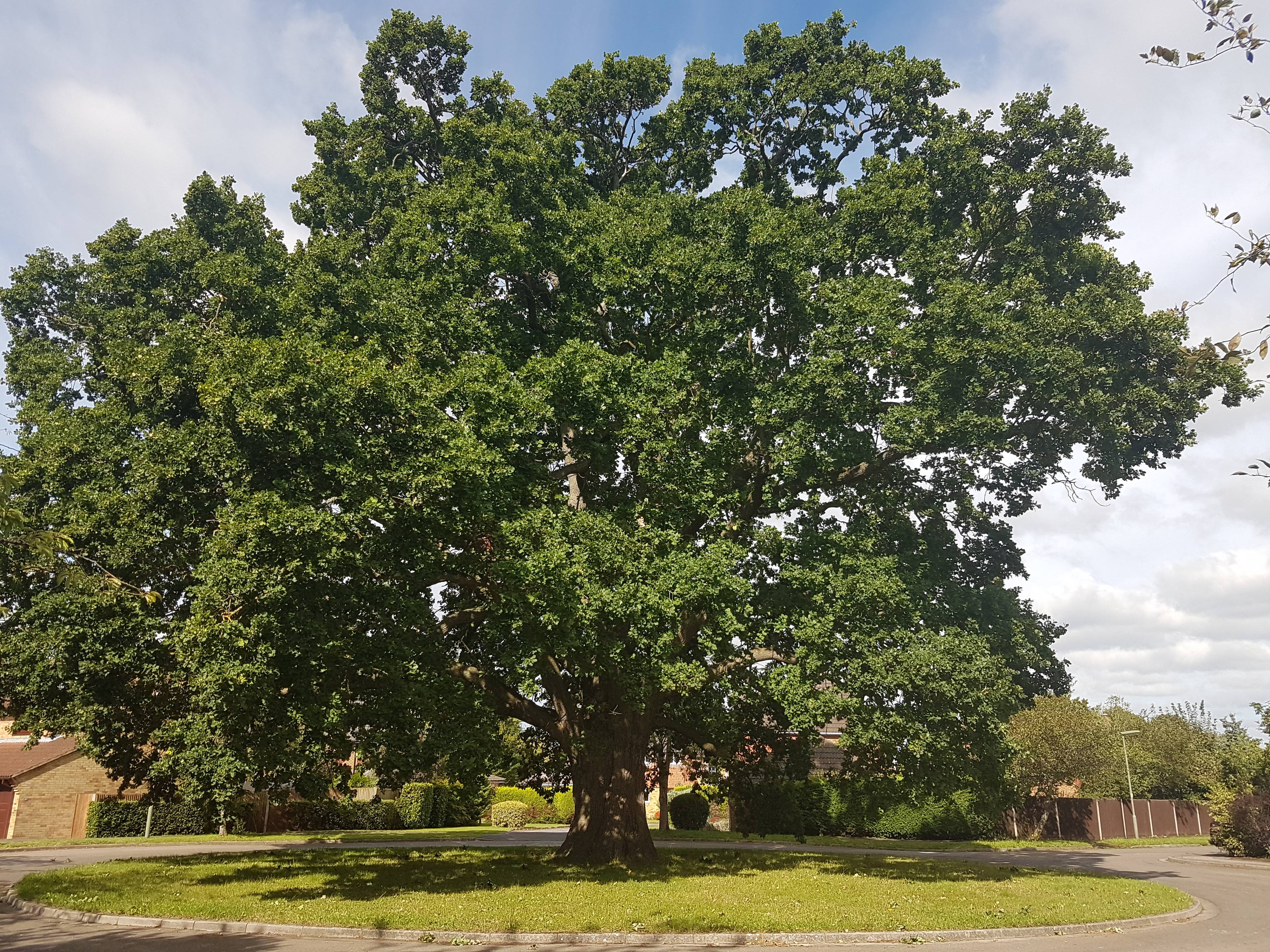 Surrounding Area