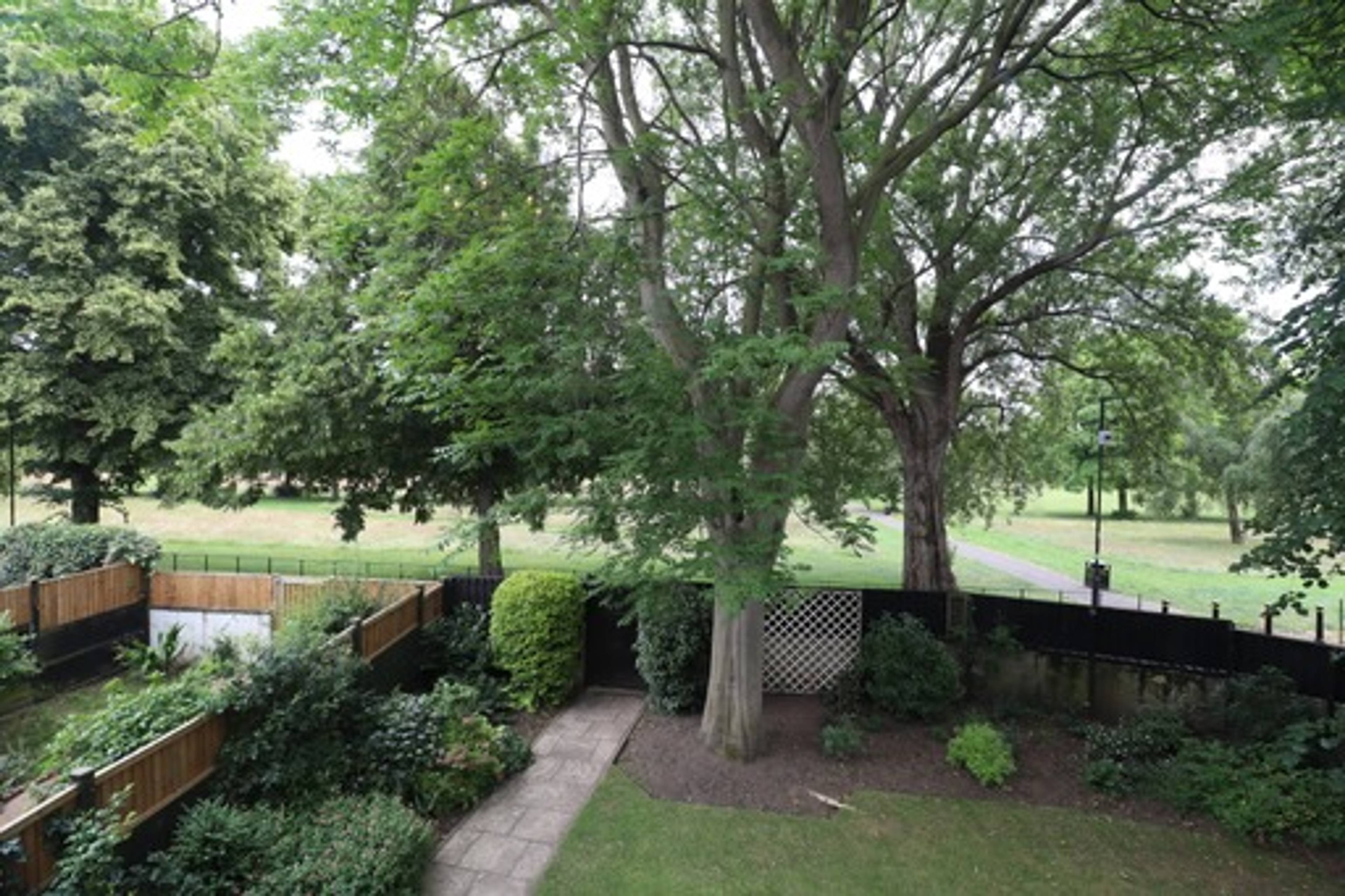 Nearby Park