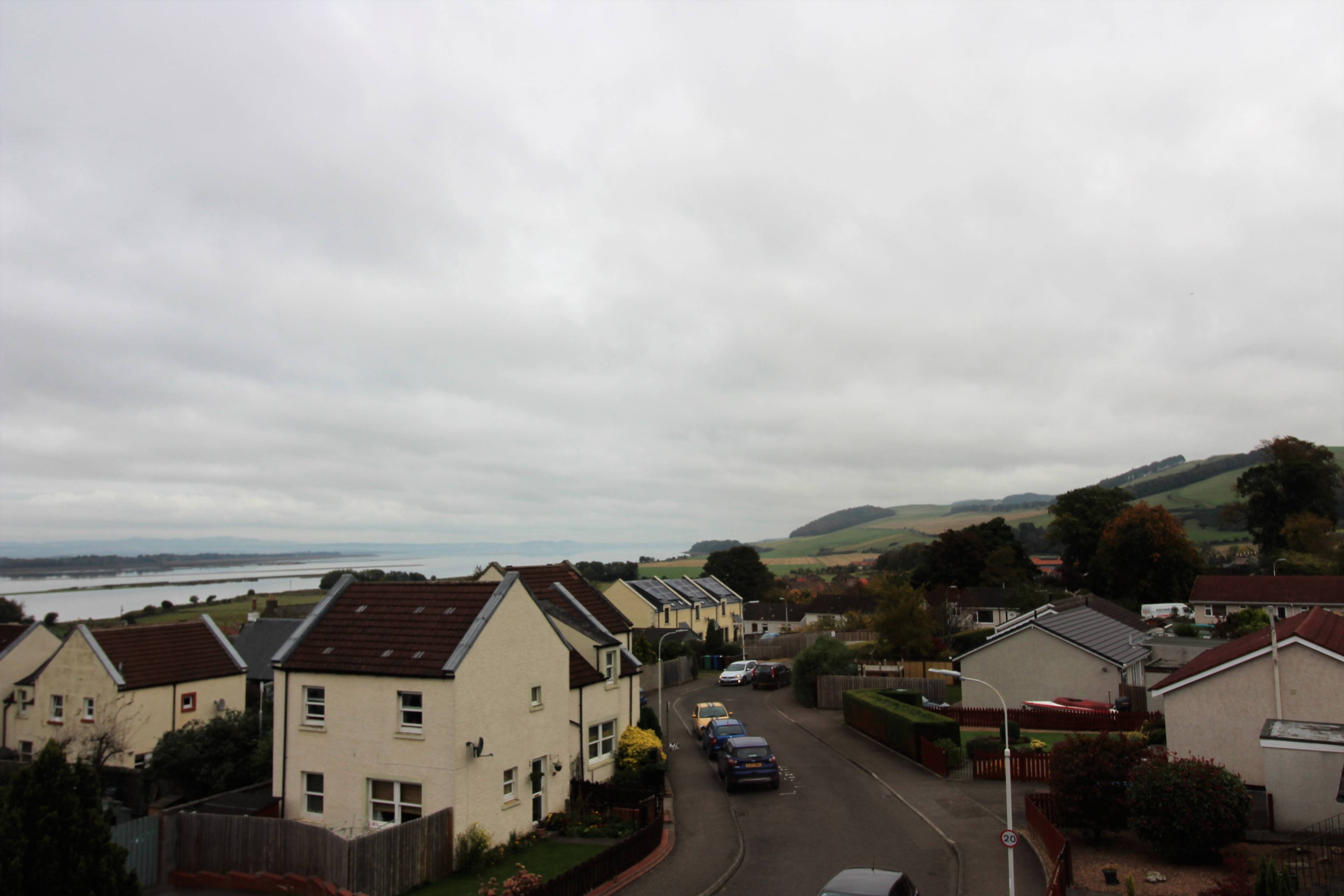 view