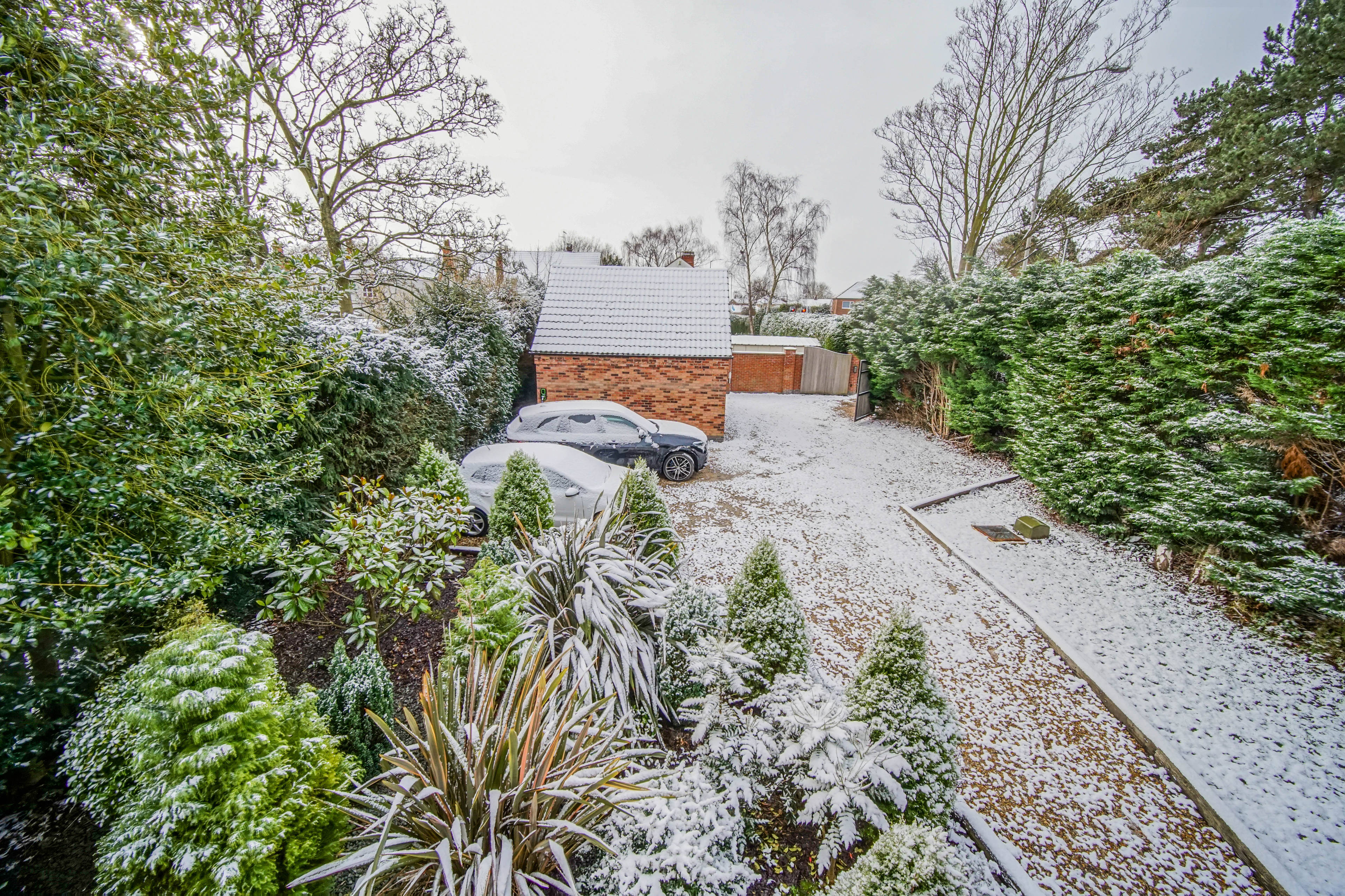 Front Garden