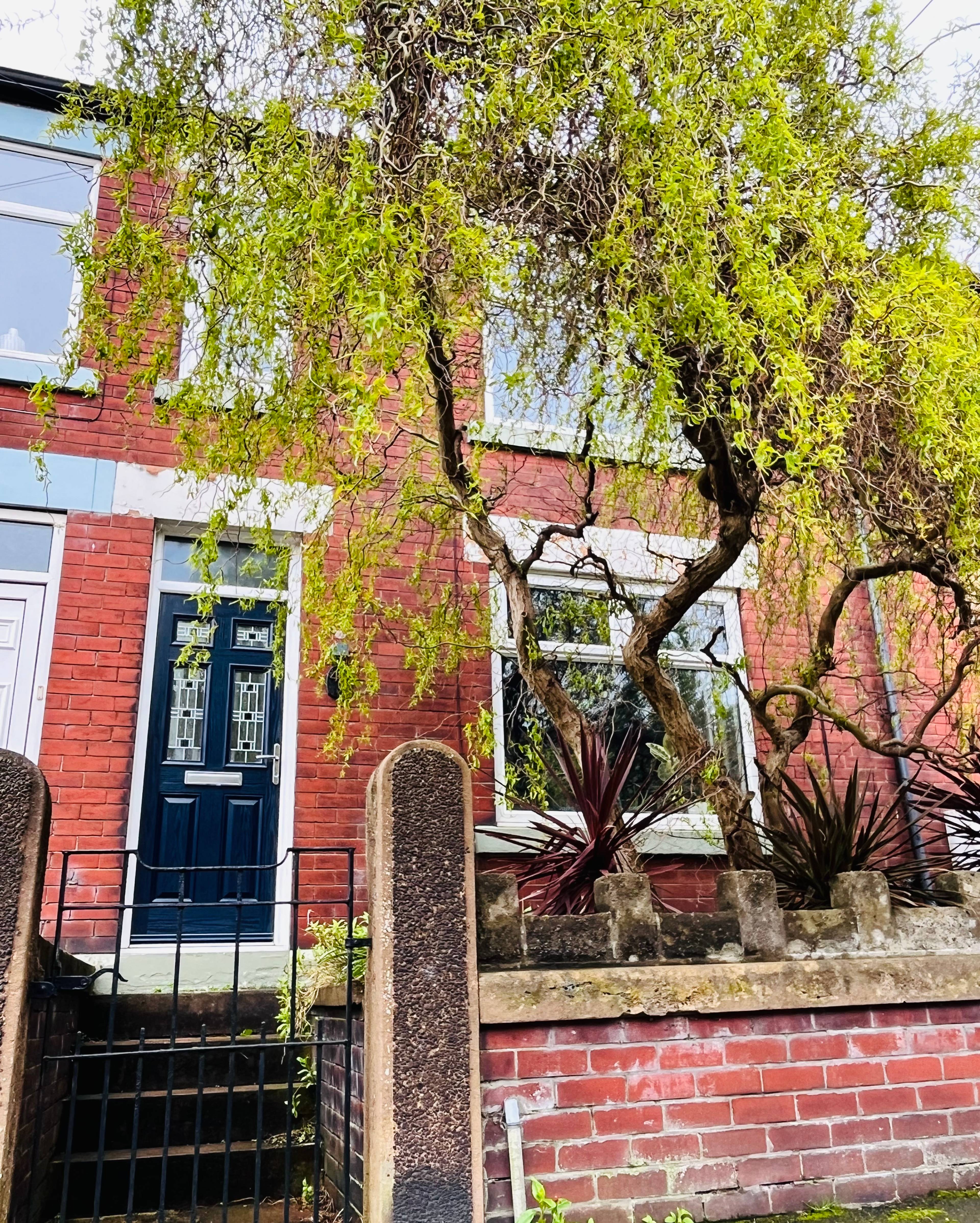 Front View