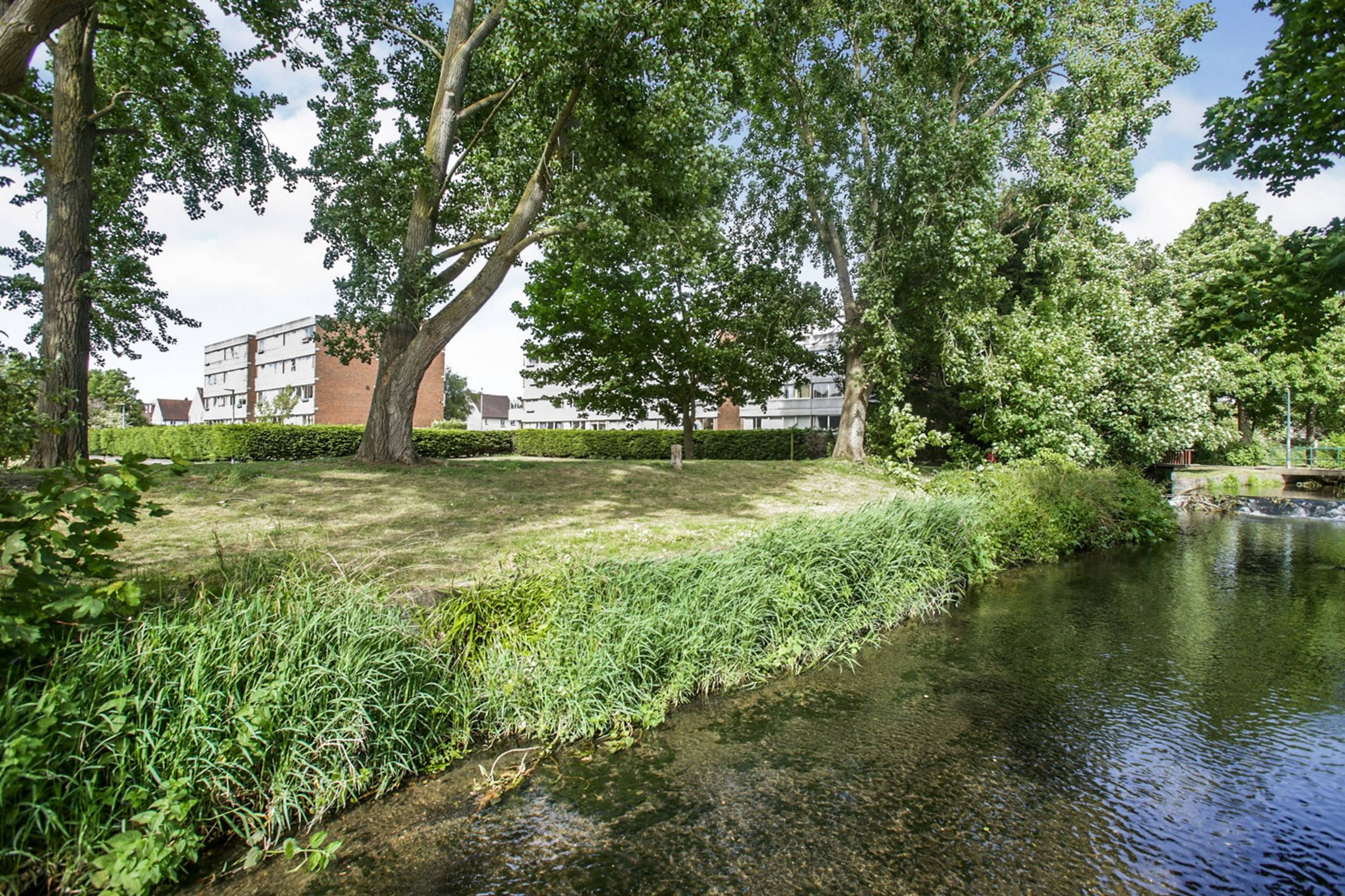 Communal Gardens