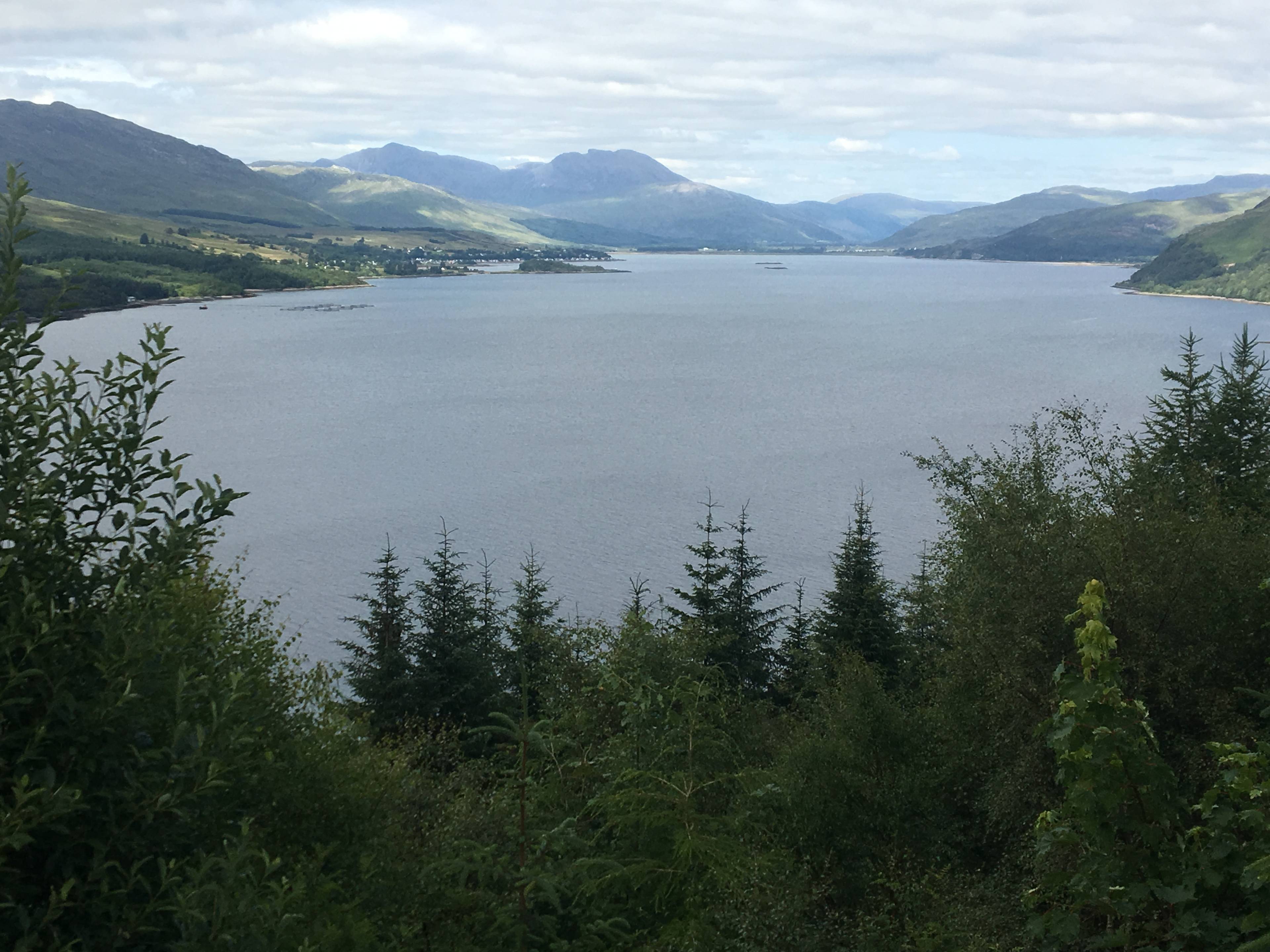 View