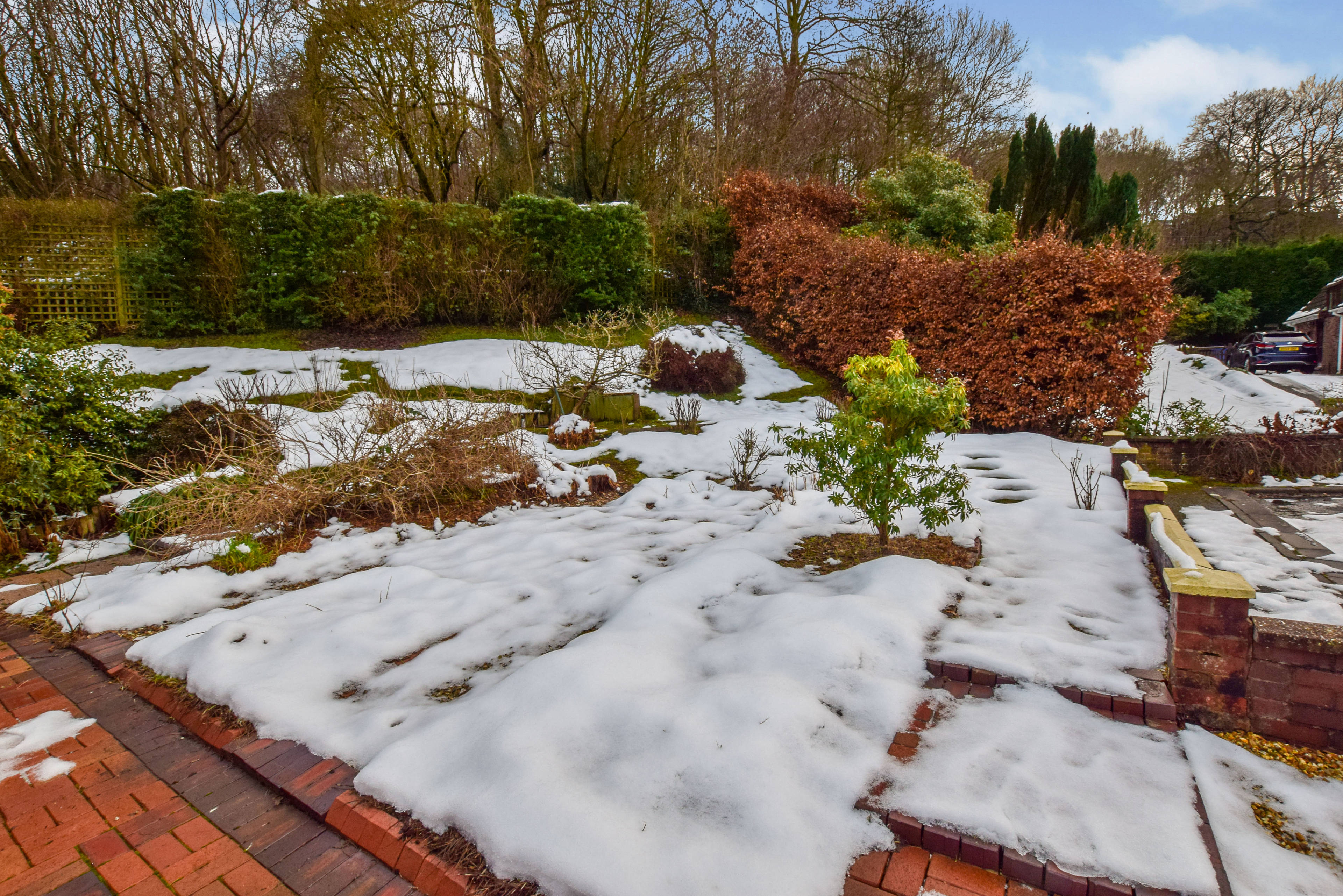 Side Garden