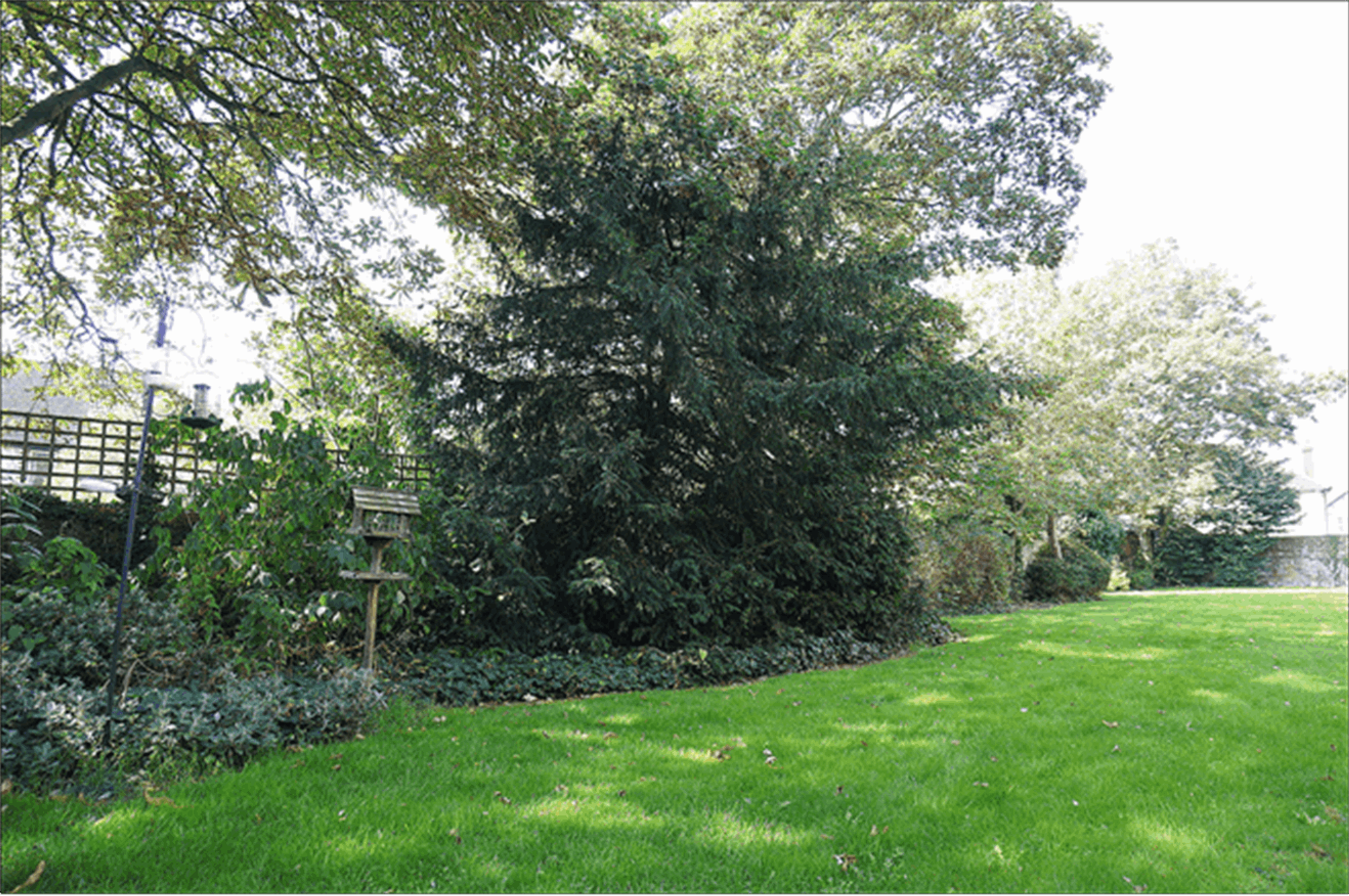 Communal Gardens