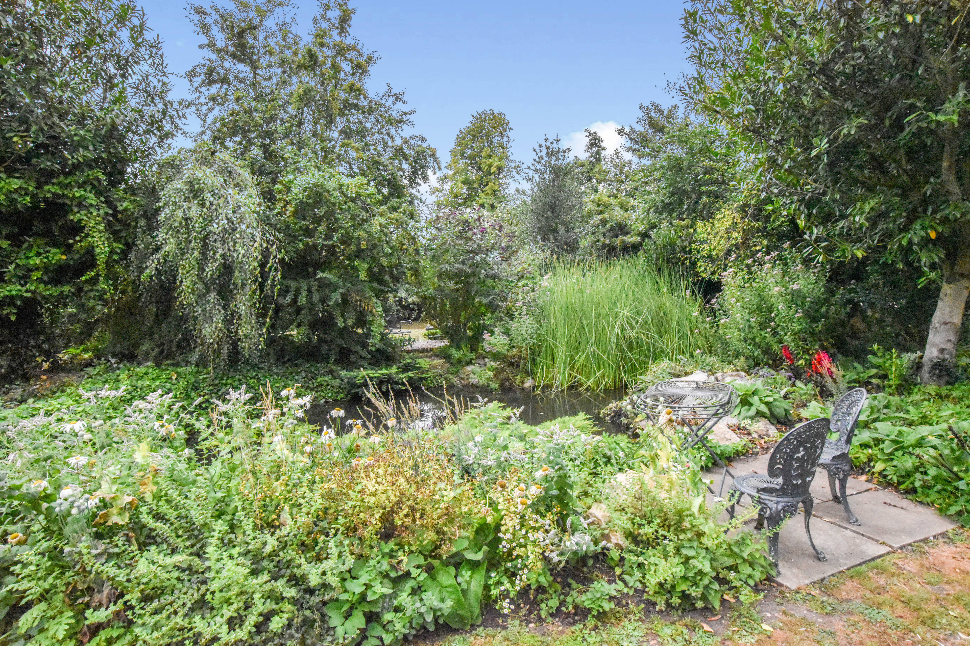 Pond
