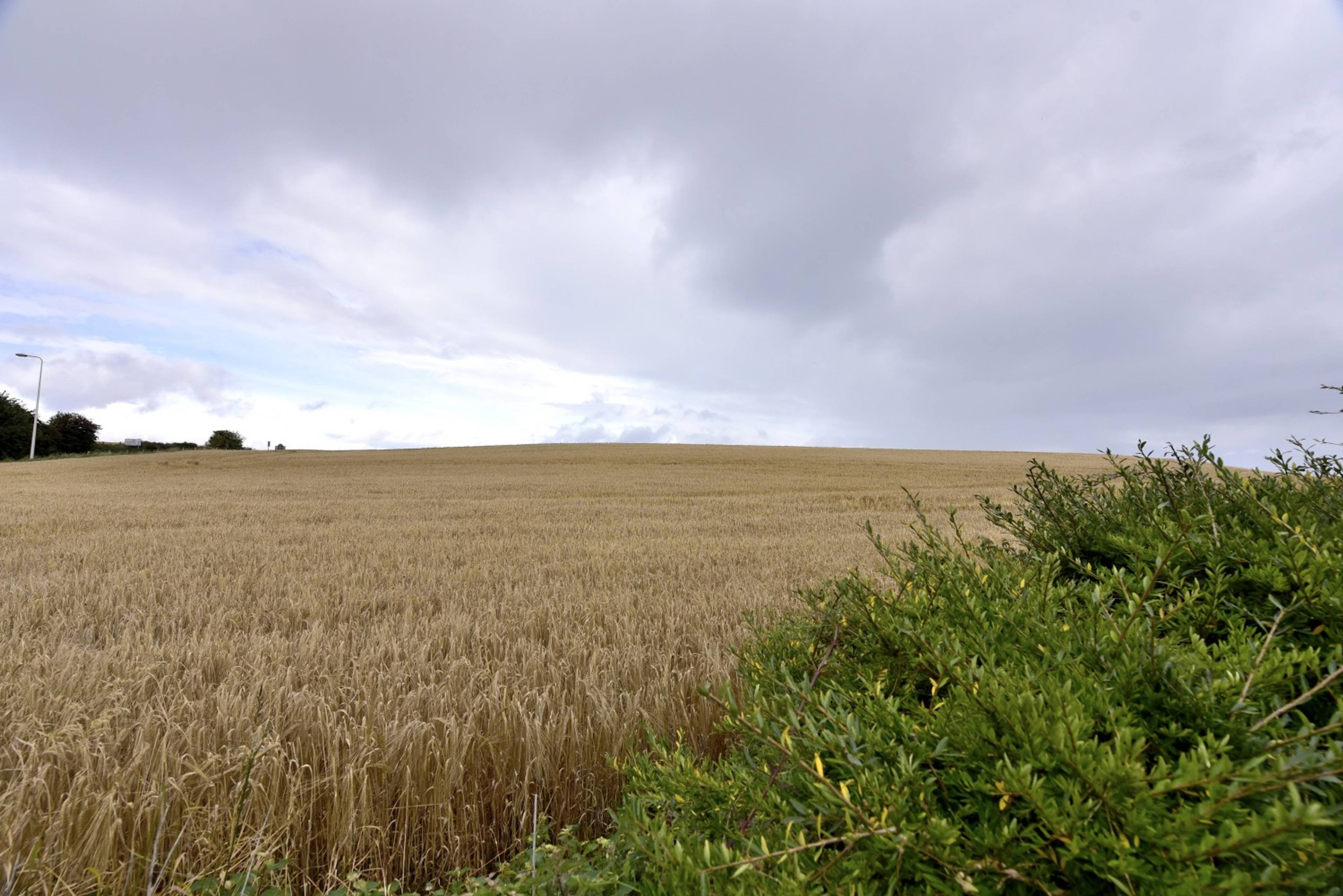 Local Area