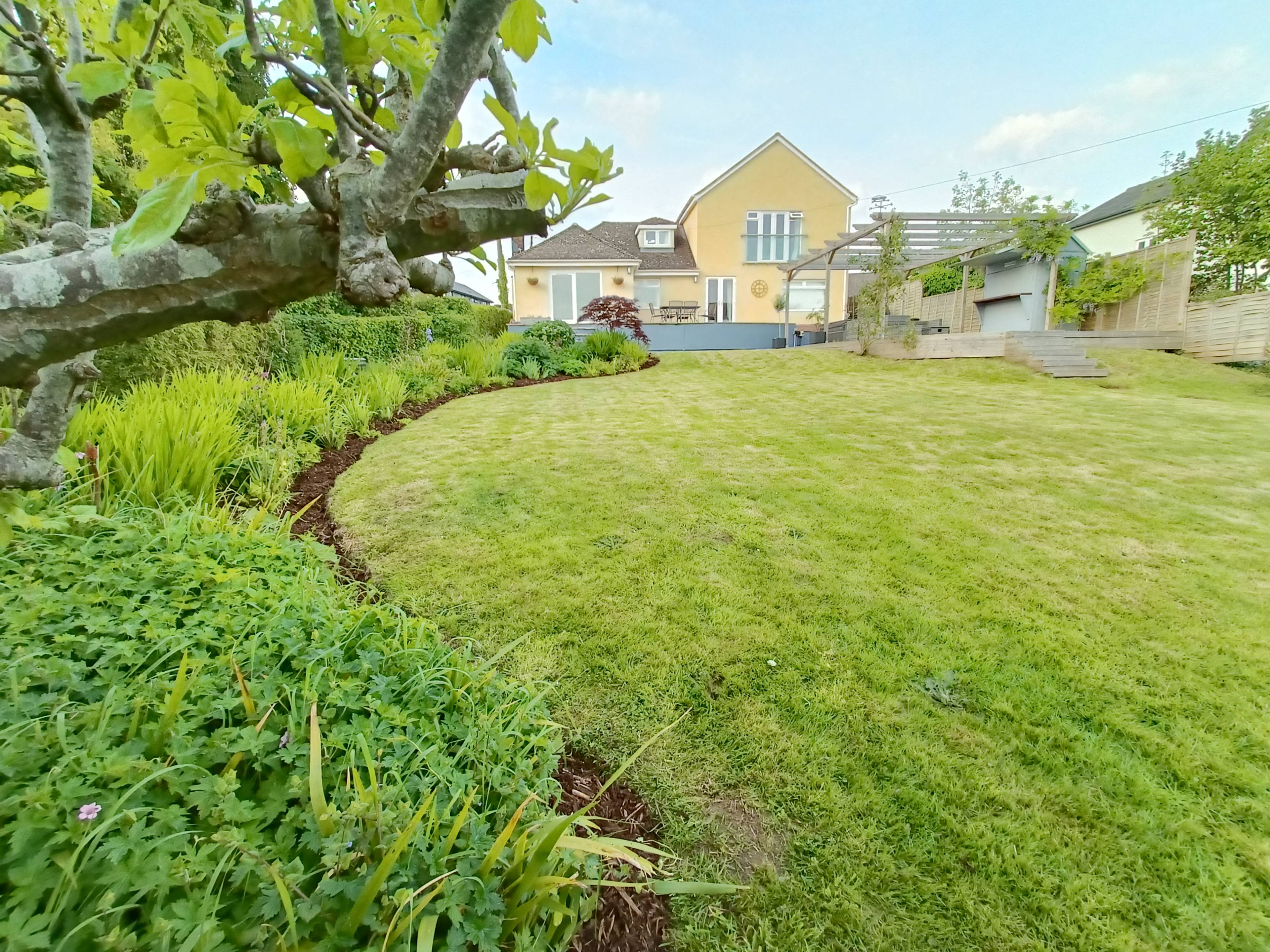 Mature Garden