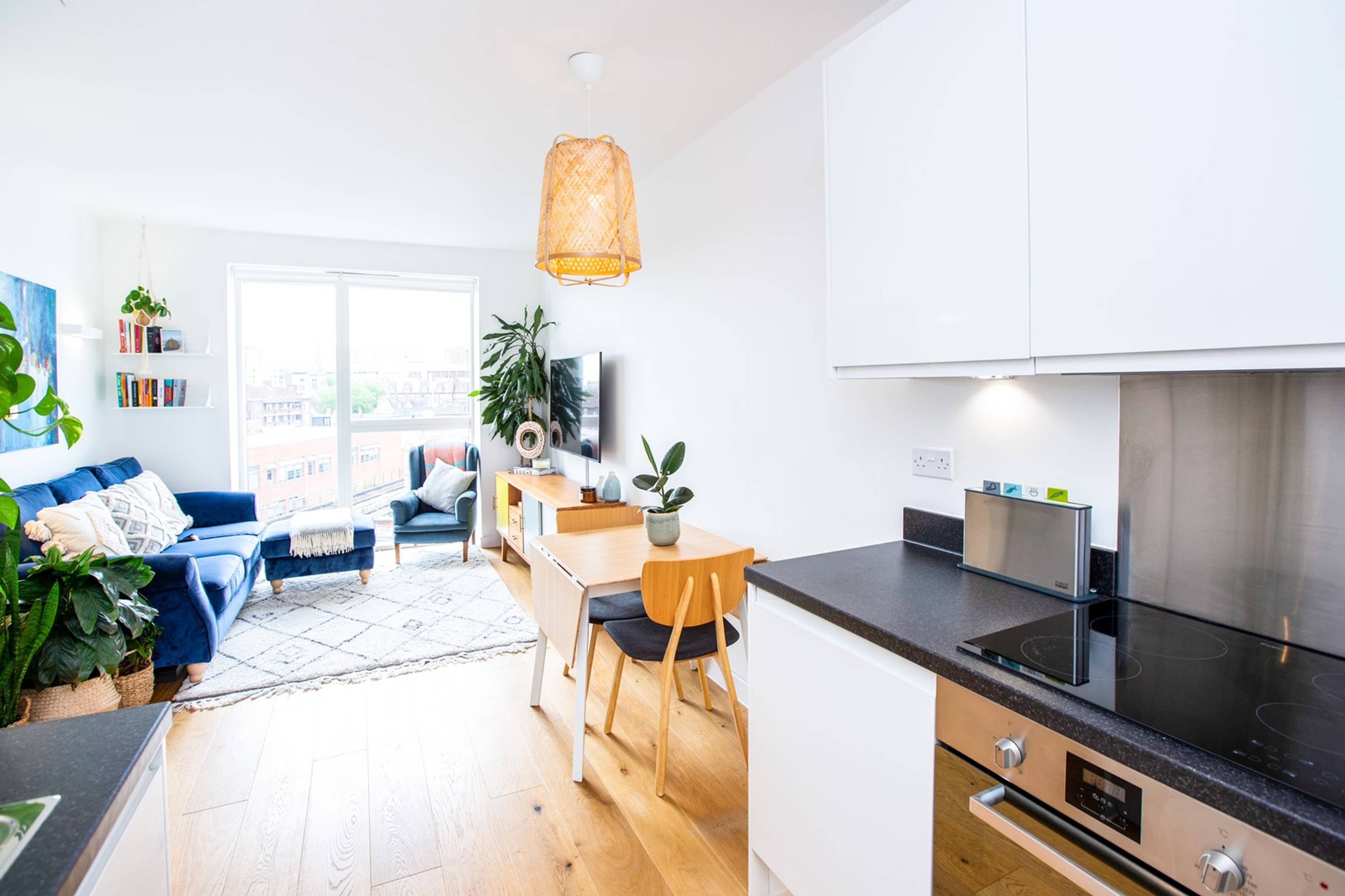 Lounge / Kitchen