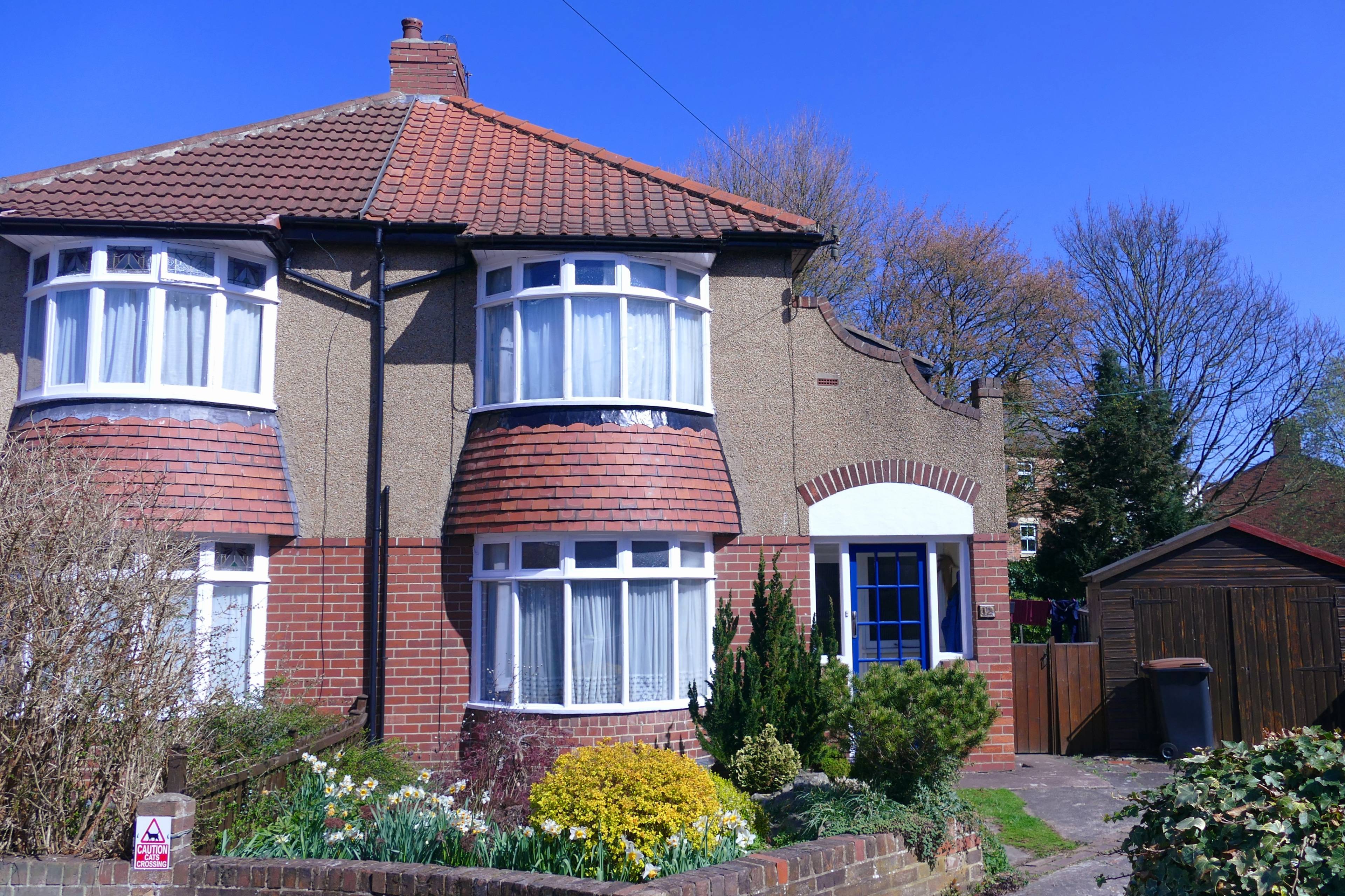 Front View