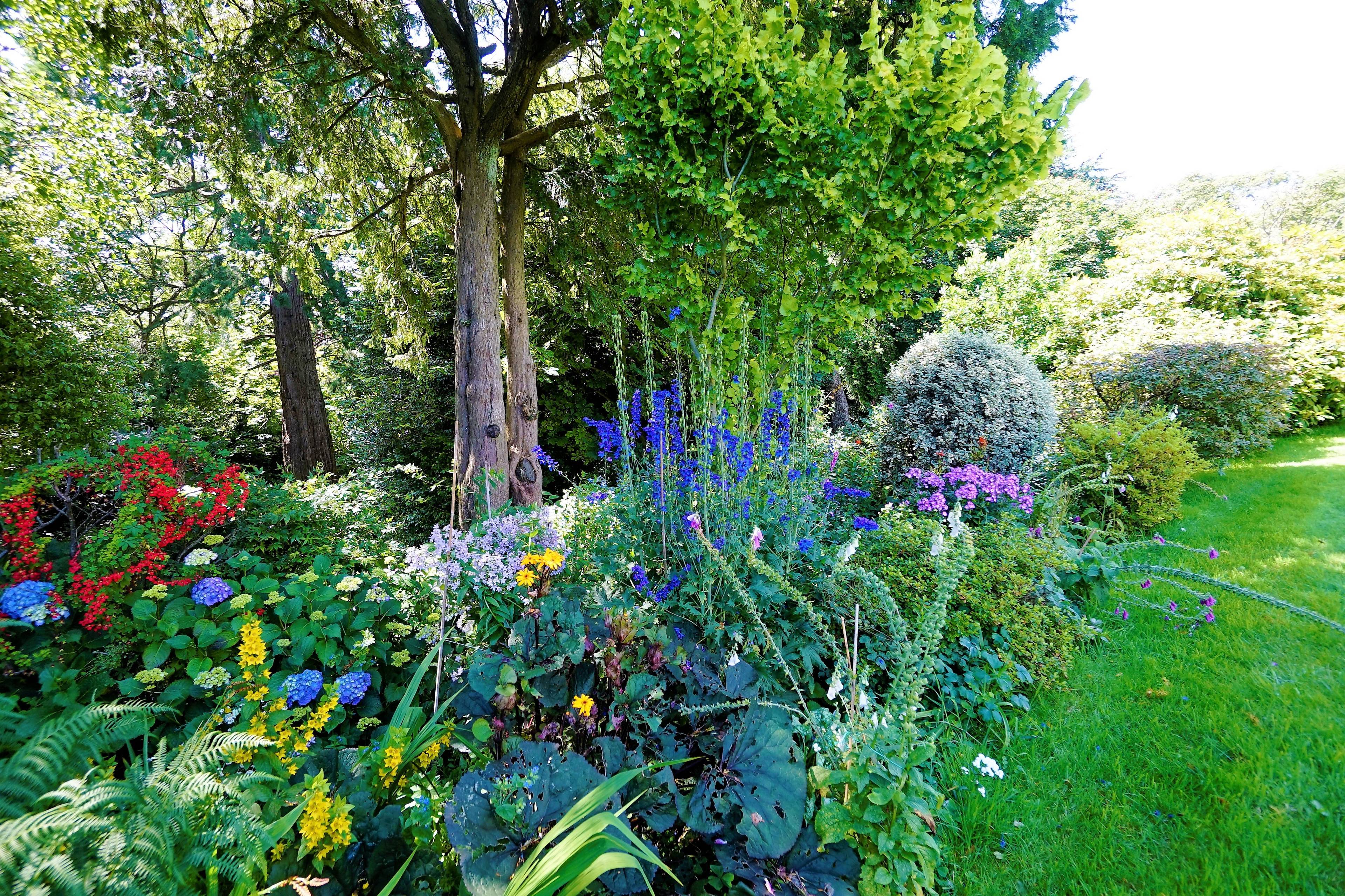 Mature Garden