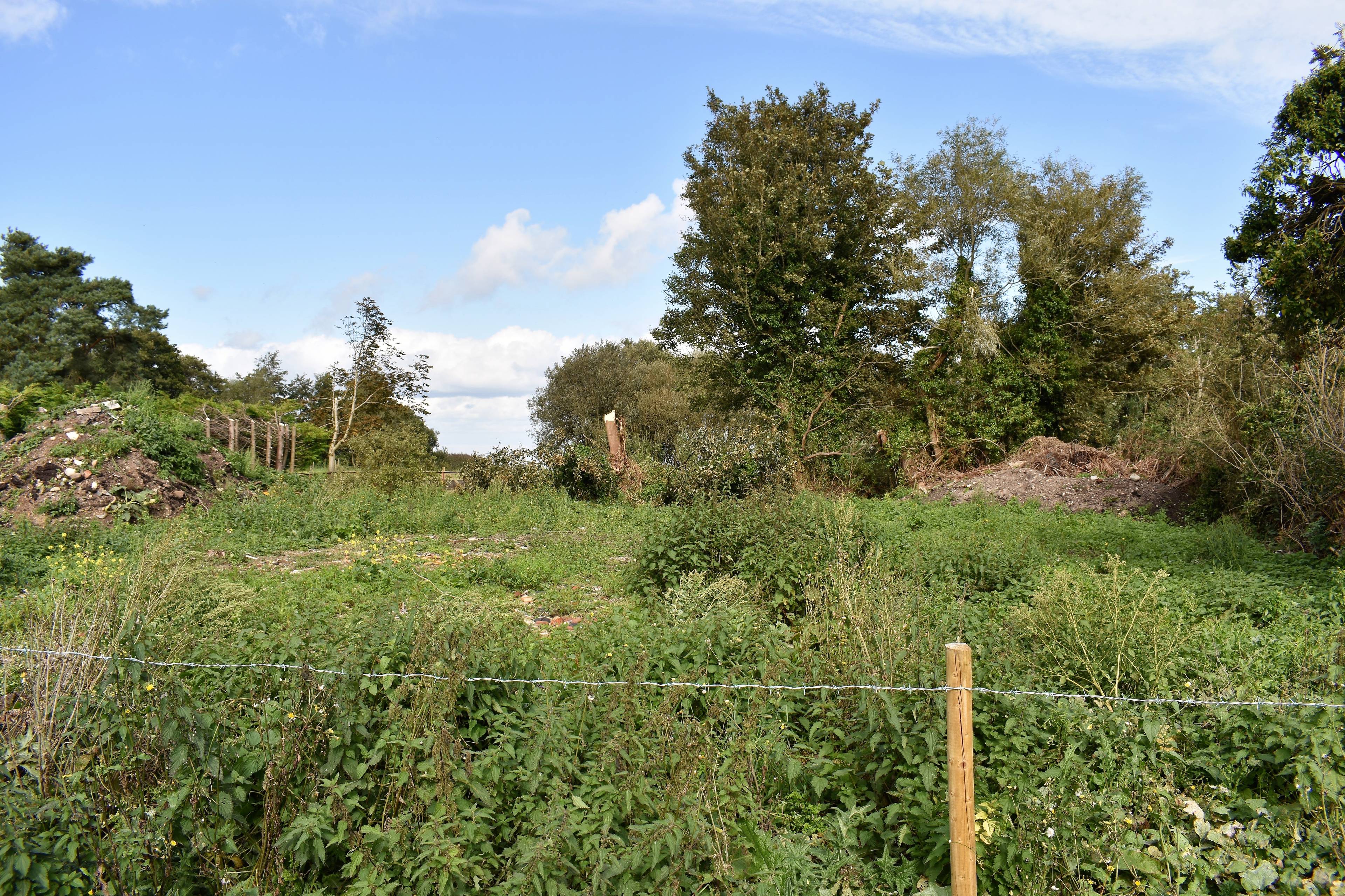 Site