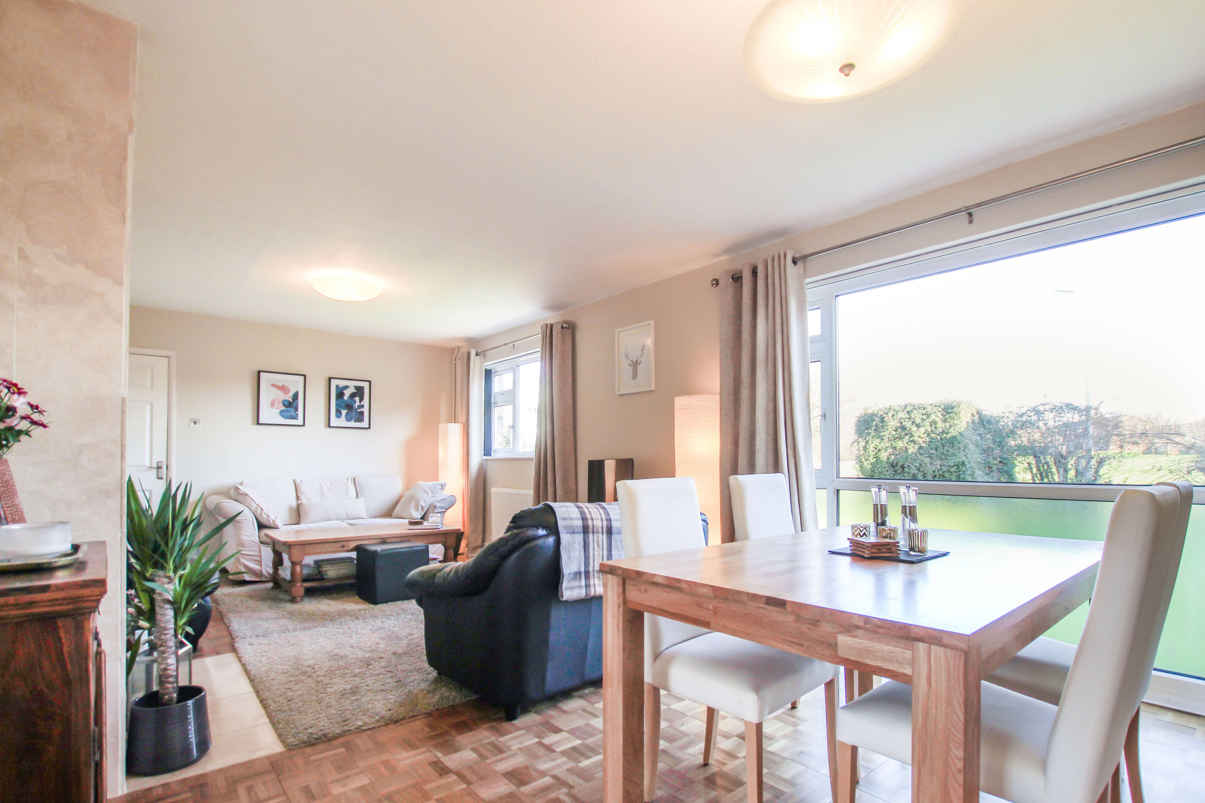 Lounge/Dining Room