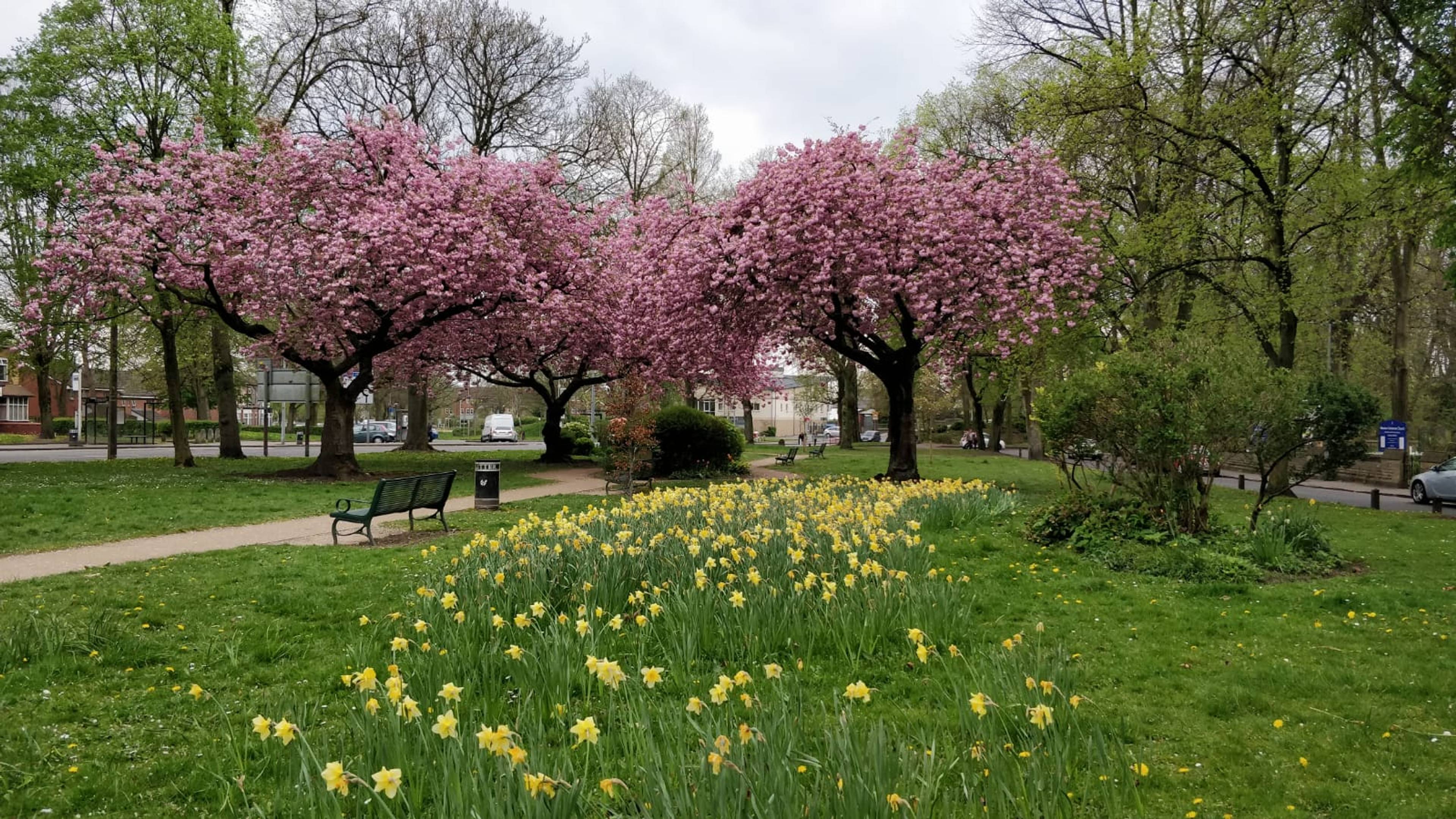 Nearby Park